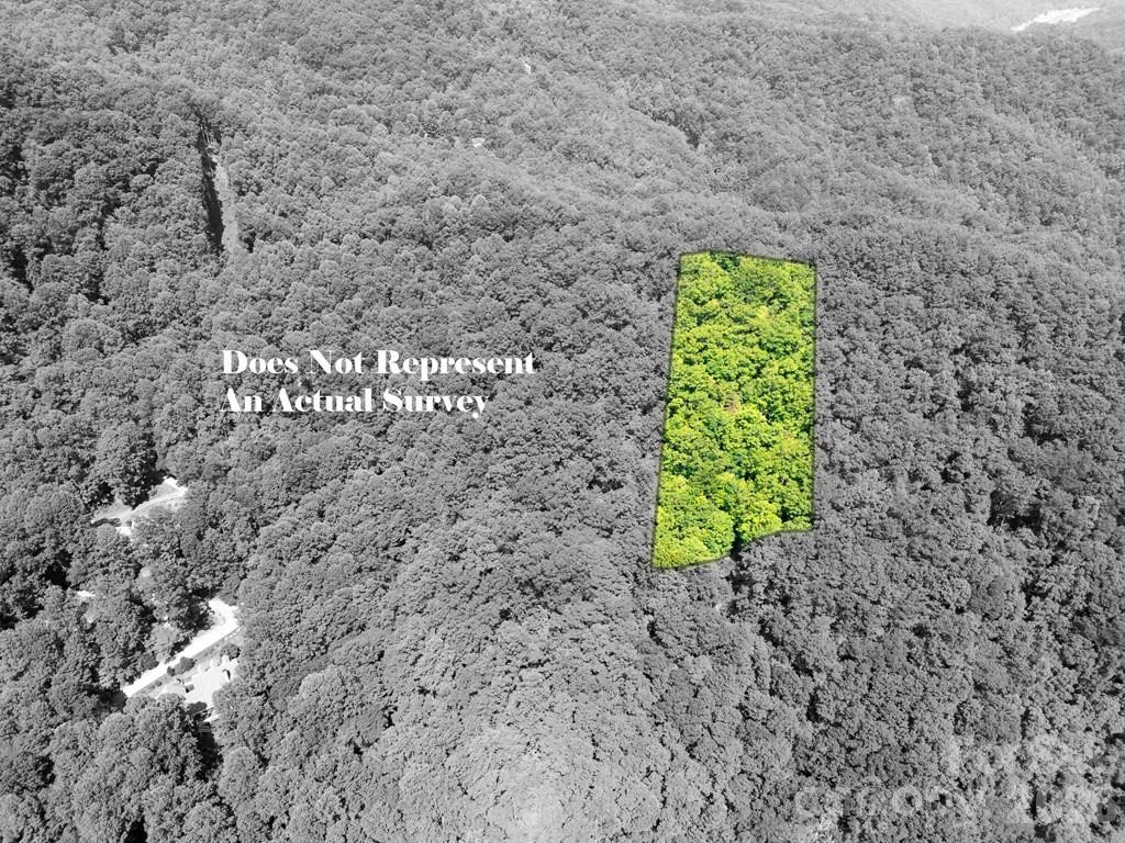 Lot 26 Red Hawk Bluff - Photo 10