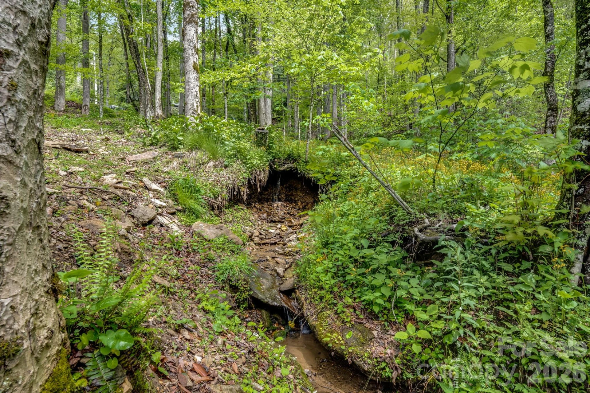 17 Greer Way - Photo 35