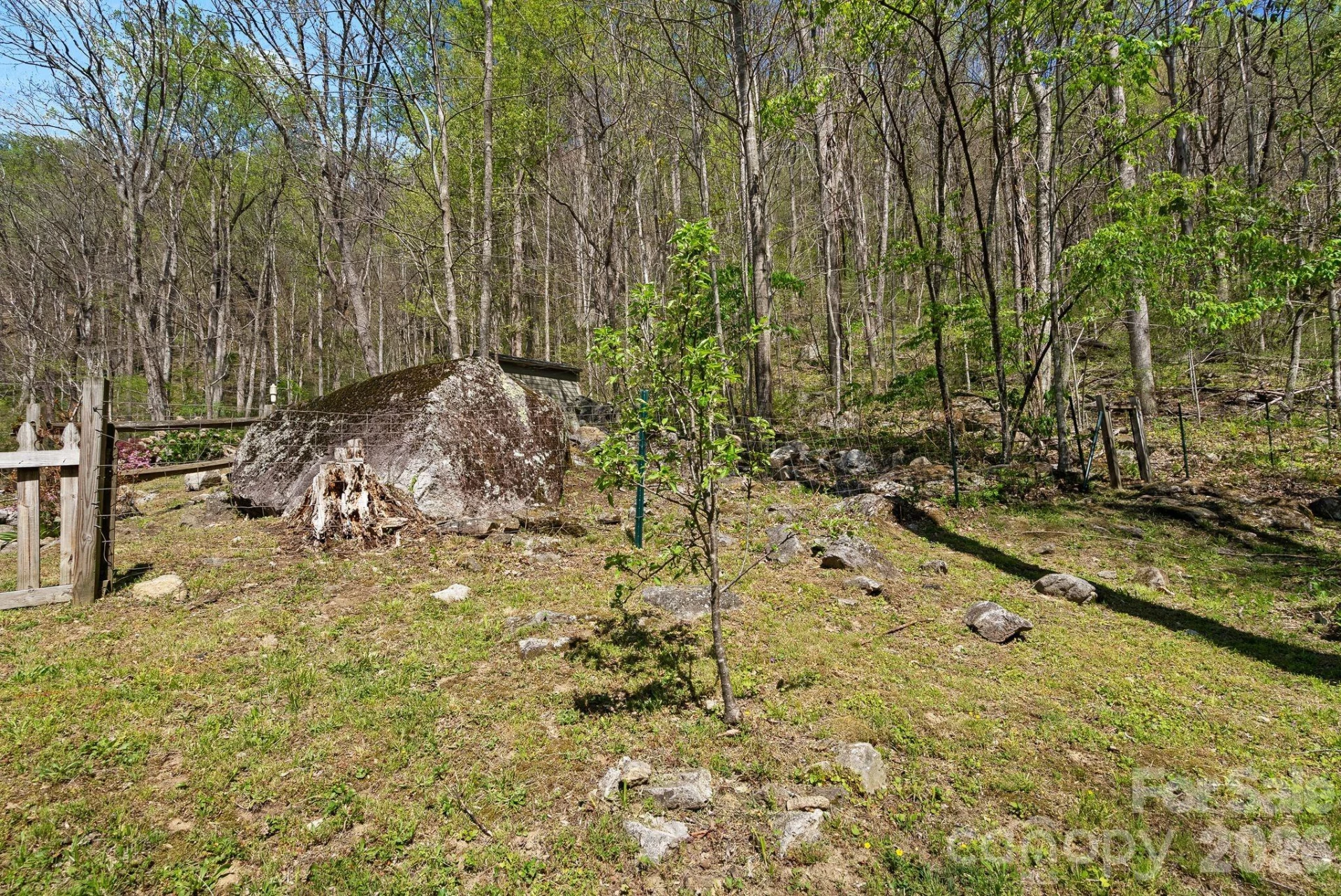 1060 Indian Camp Creek Road - Photo 40