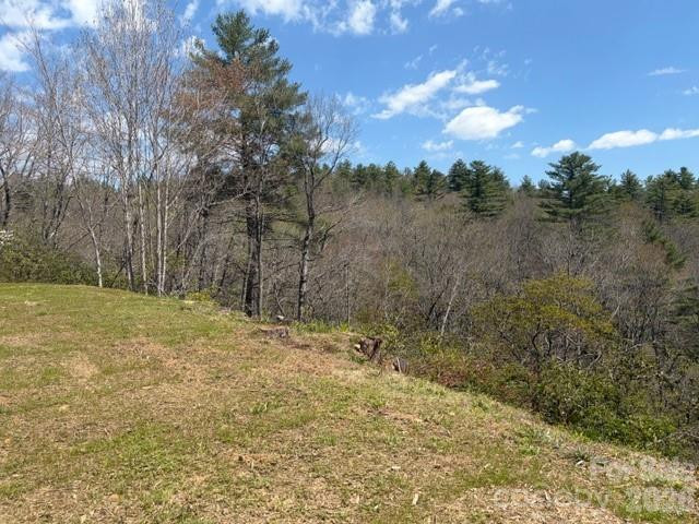 181 Pathkiller Road - Photo 11