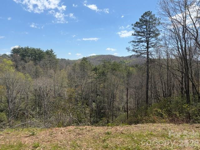 181 Pathkiller Road - Photo 12