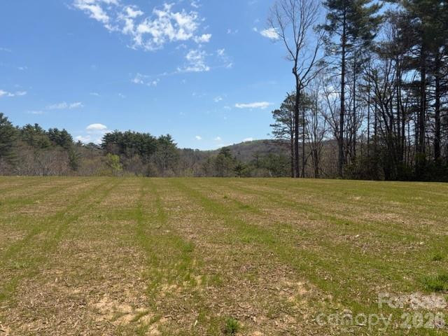 181 Pathkiller Road - Photo 13