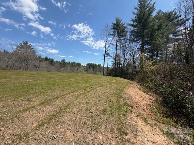 181 Pathkiller Road - Photo 14