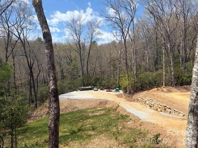 181 Pathkiller Road - Photo 15