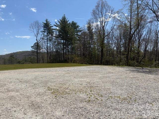 181 Pathkiller Road - Photo 3