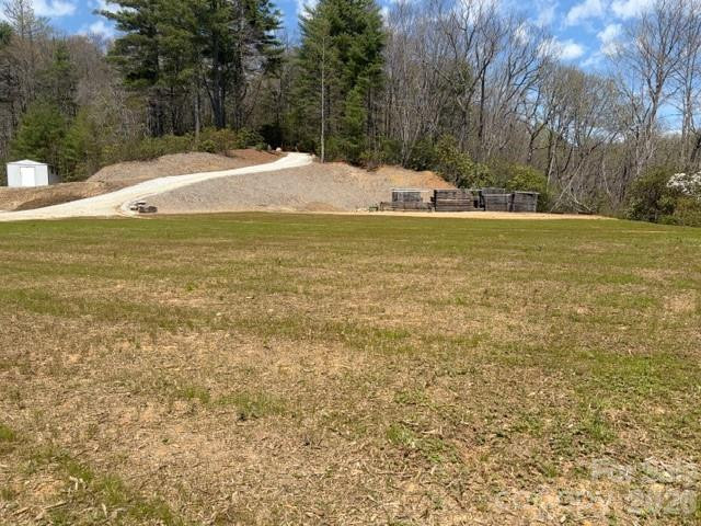 181 Pathkiller Road - Photo 4