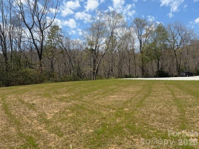 181 Pathkiller Road - Photo 10