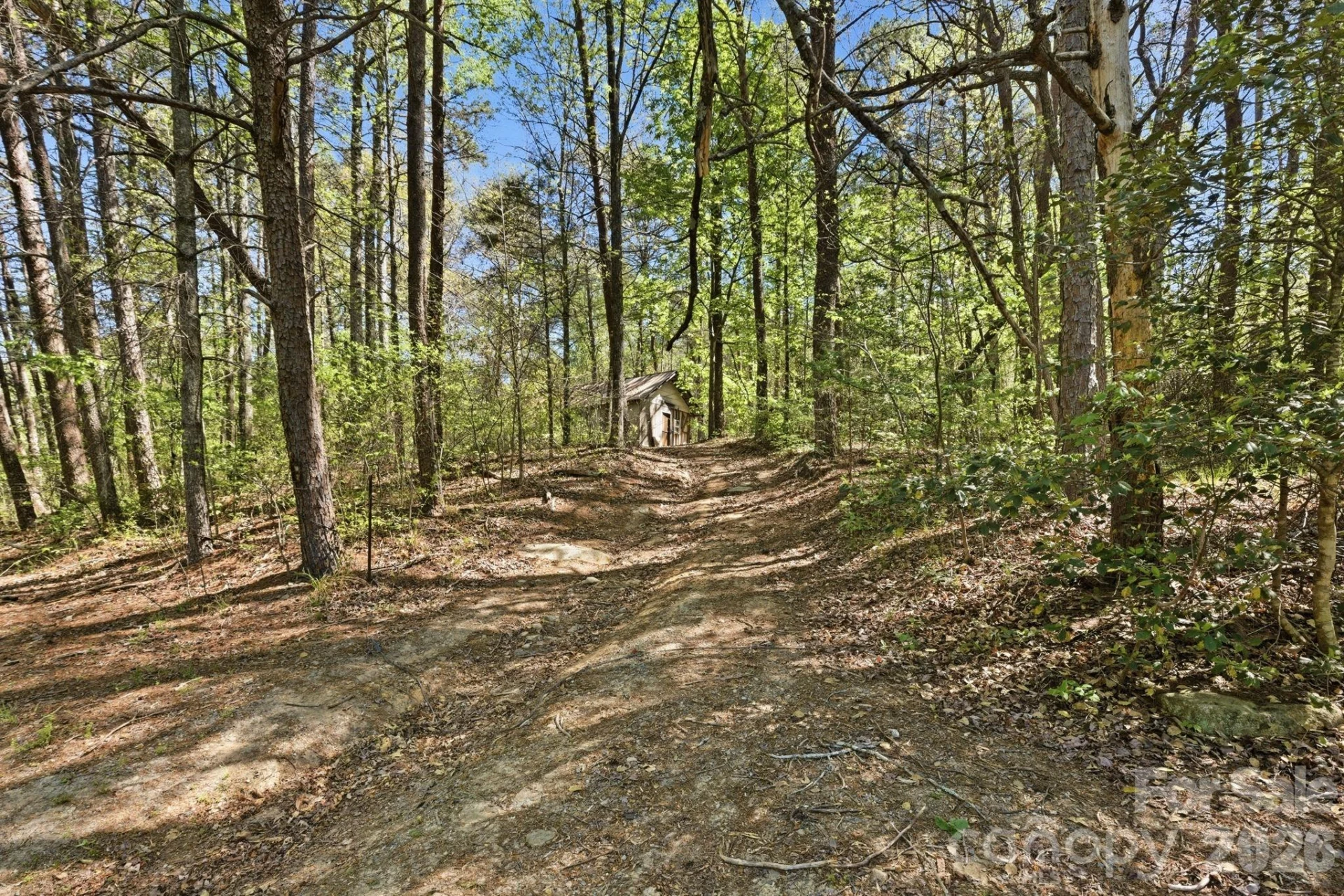 6554 camp meeting Road