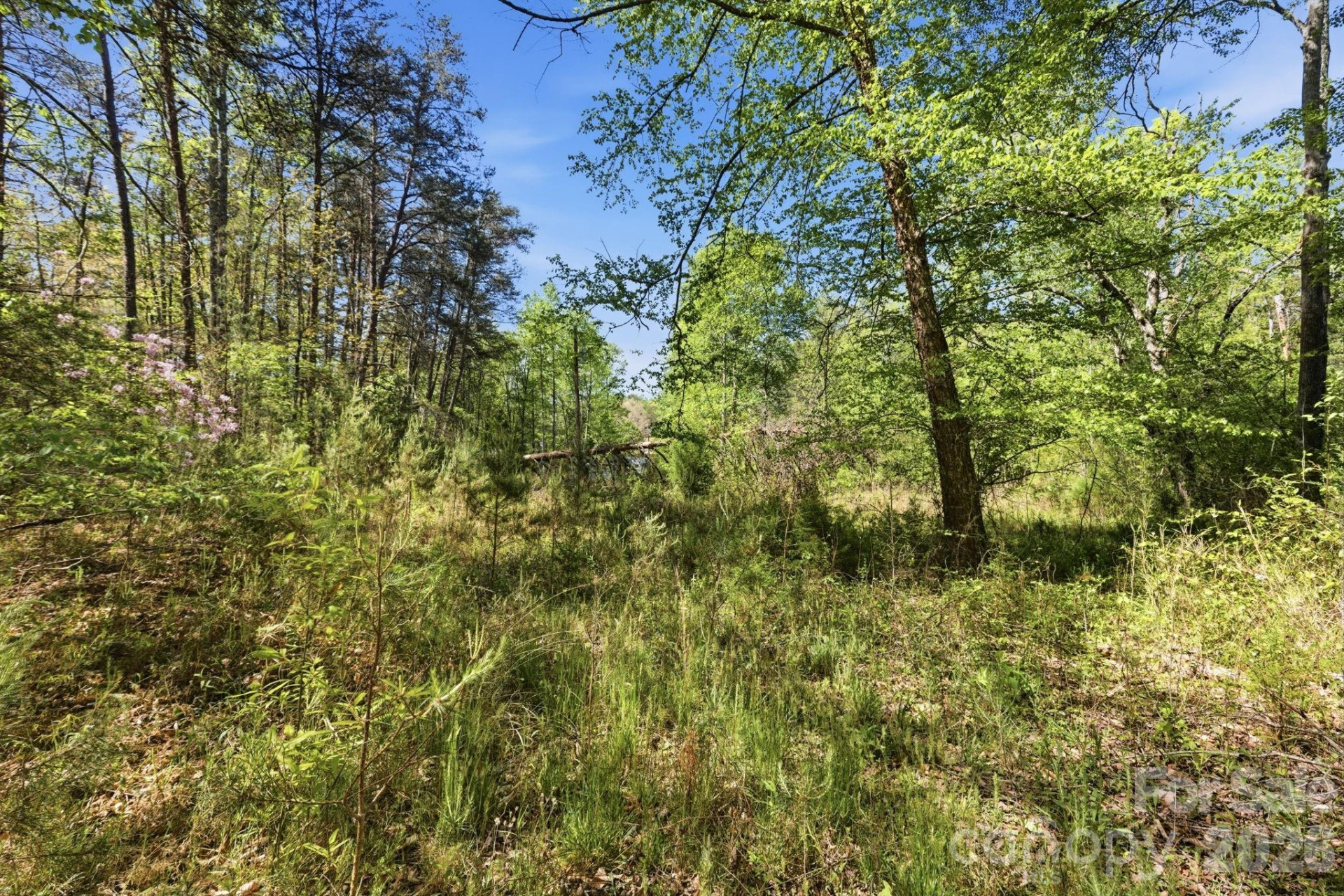 6554 camp meeting Road - Photo 11