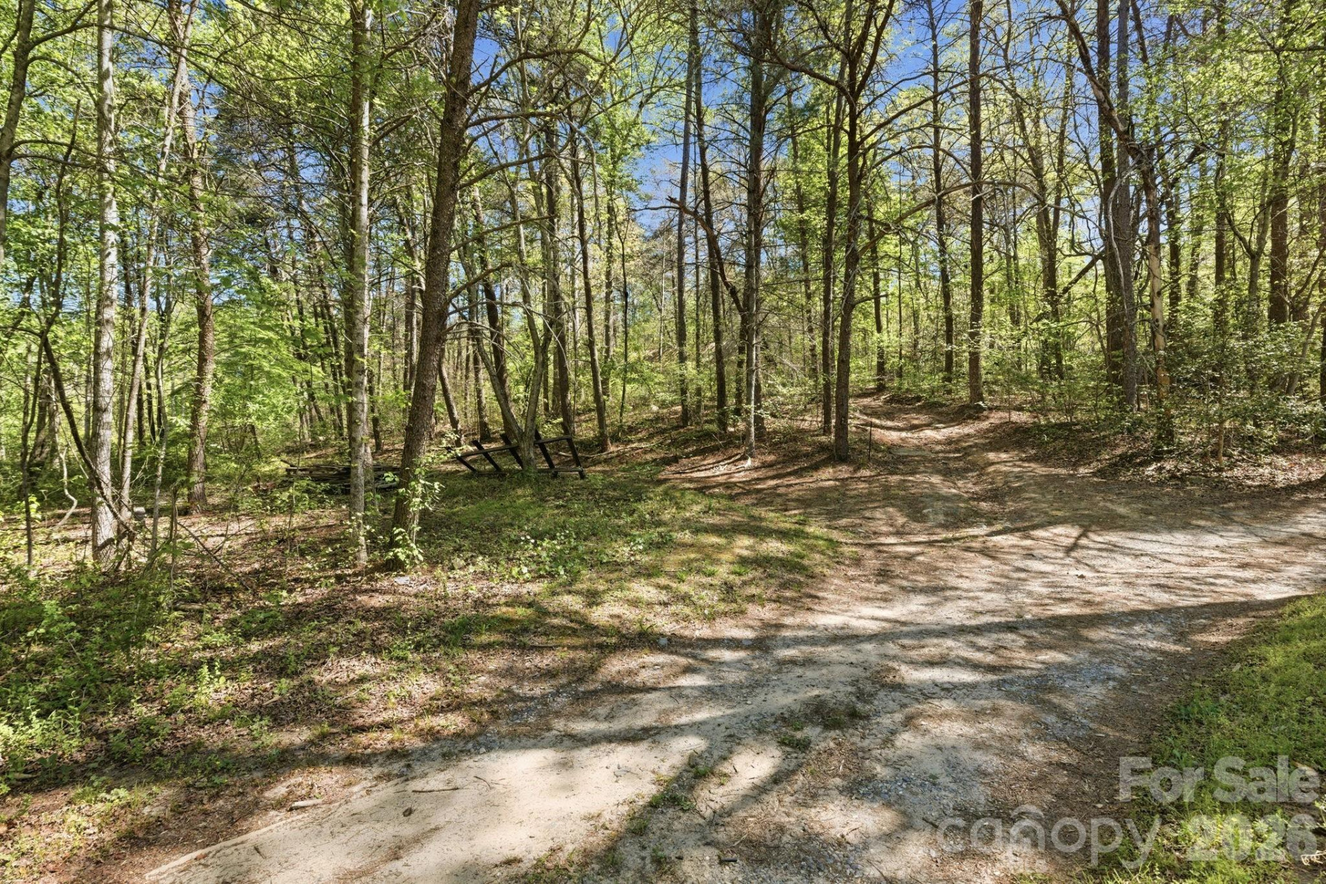 6554 camp meeting Road - Photo 12