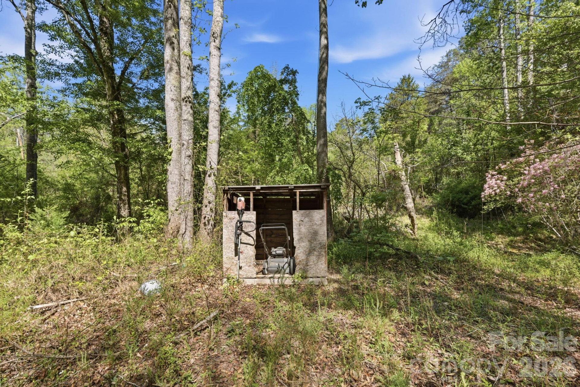 6554 camp meeting Road - Photo 13