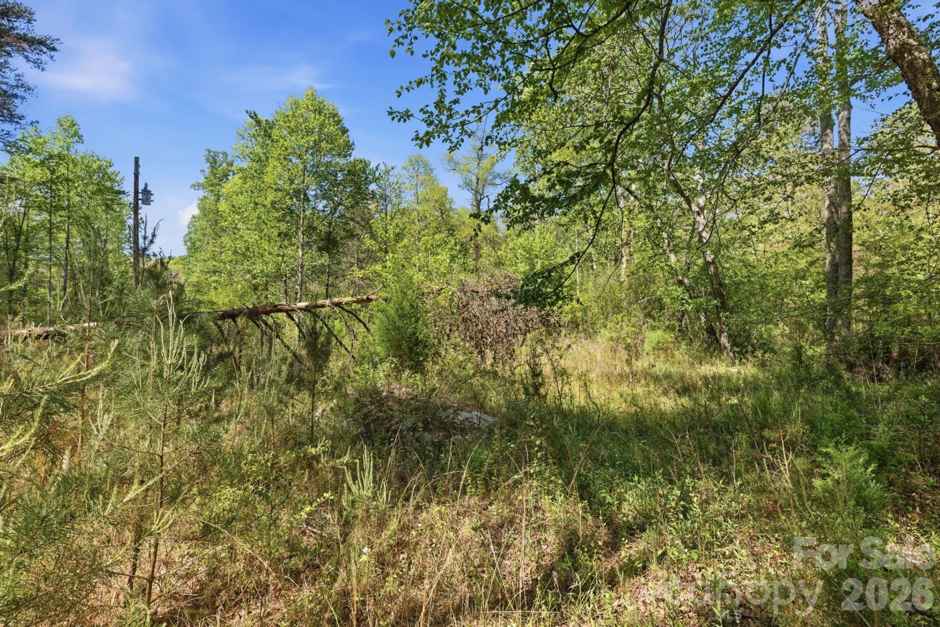 6554 camp meeting Road - Photo 14