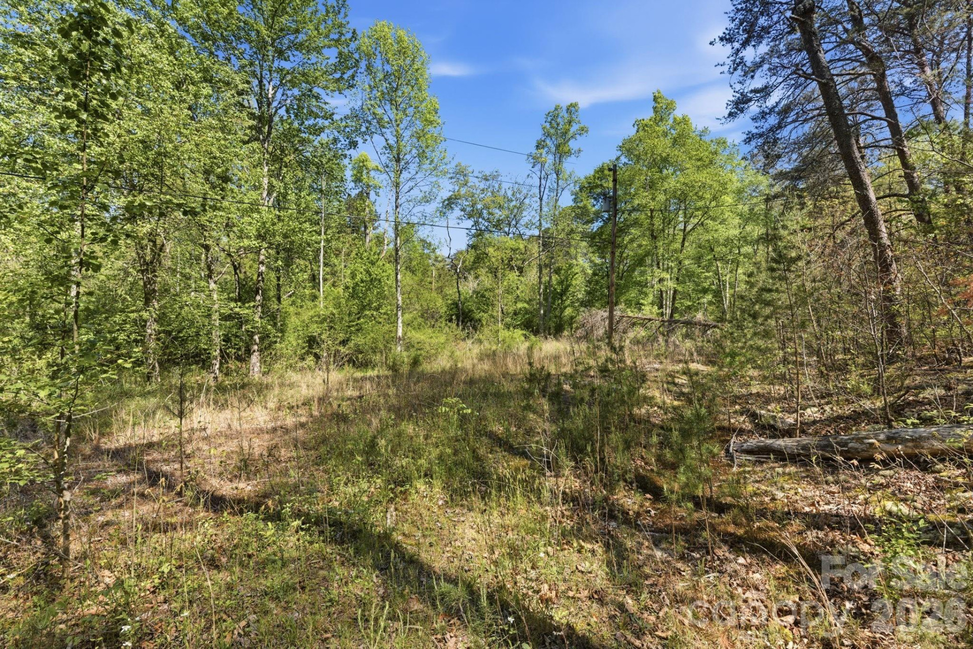 6554 camp meeting Road - Photo 15