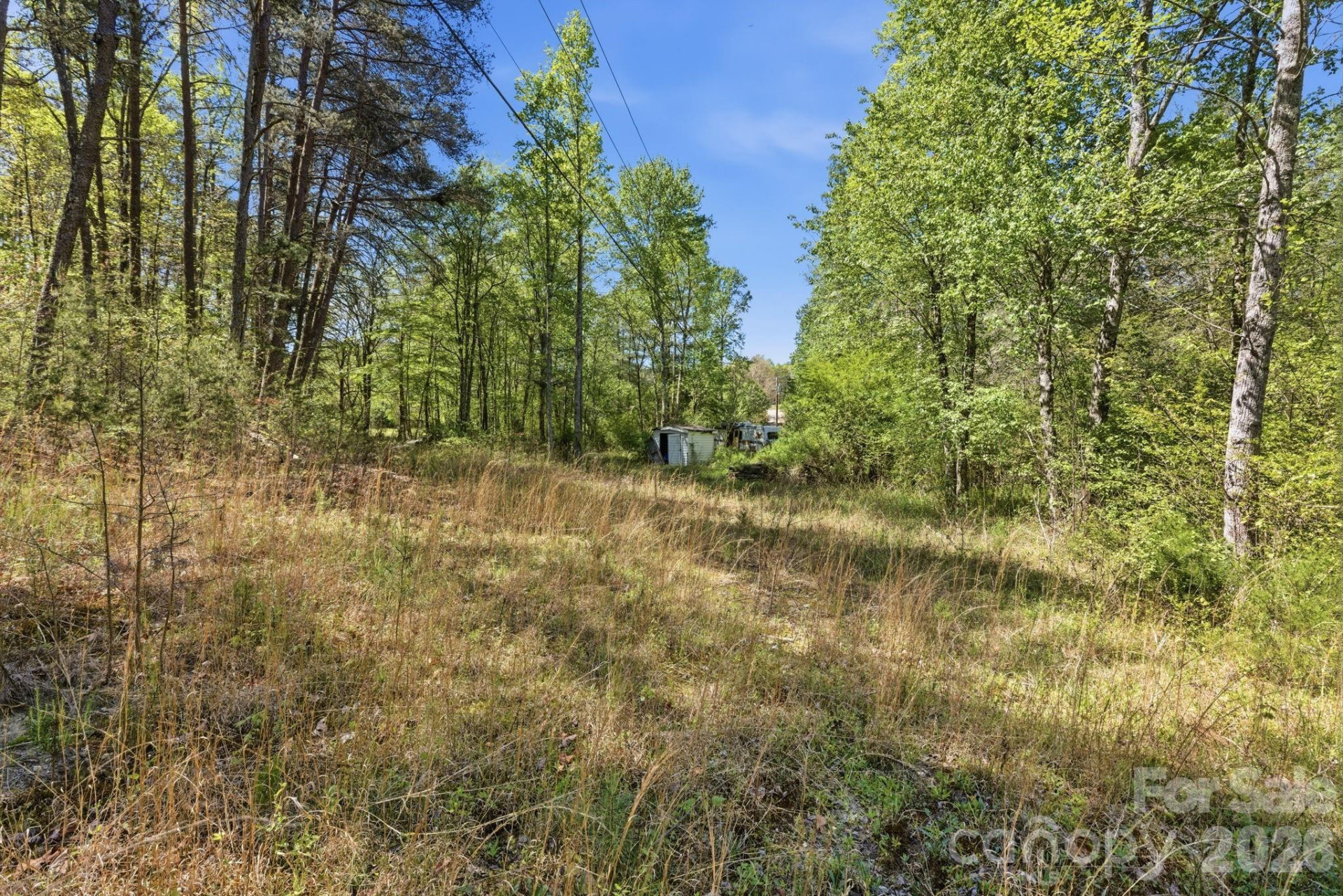 6554 camp meeting Road - Photo 16