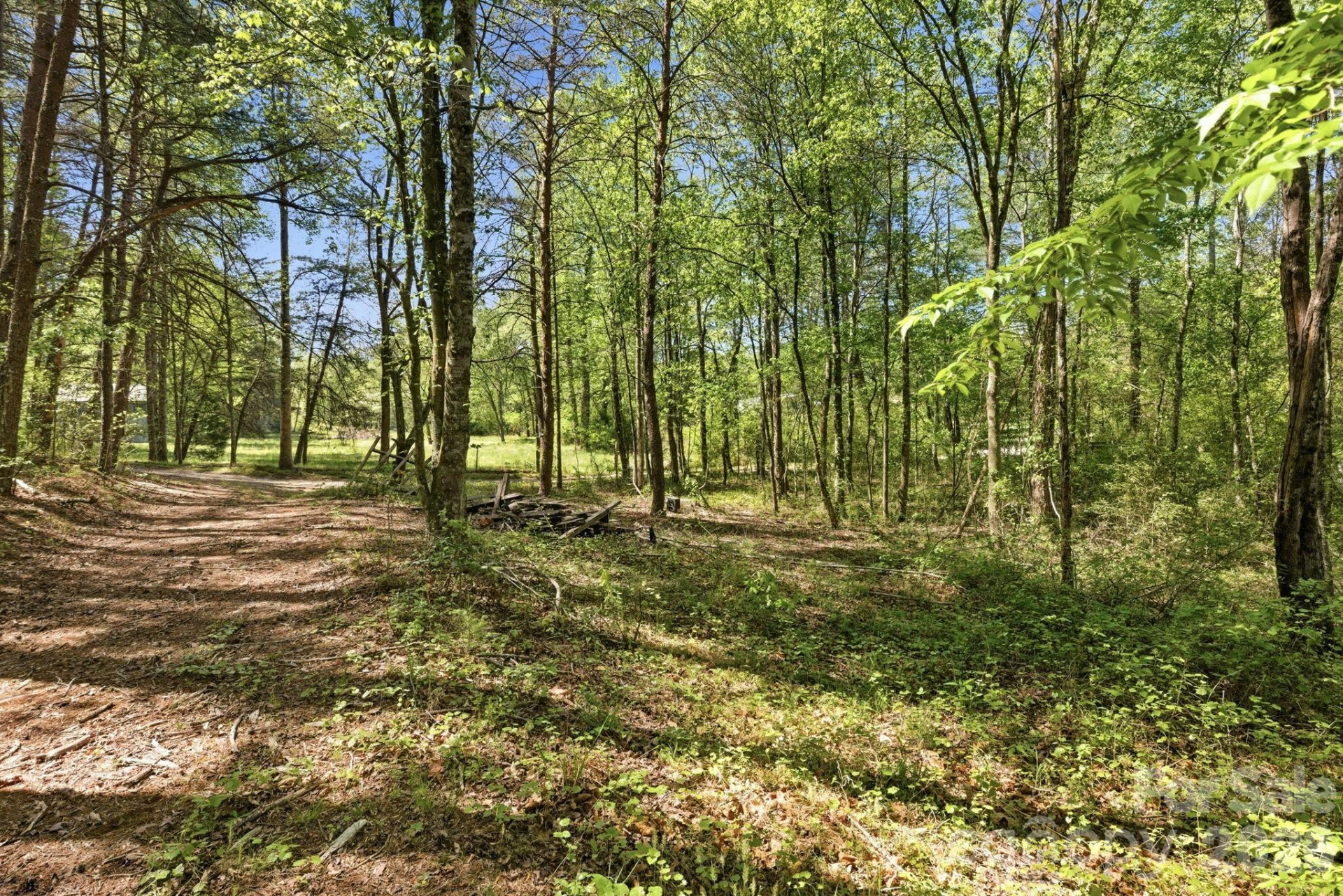 6554 camp meeting Road - Photo 17