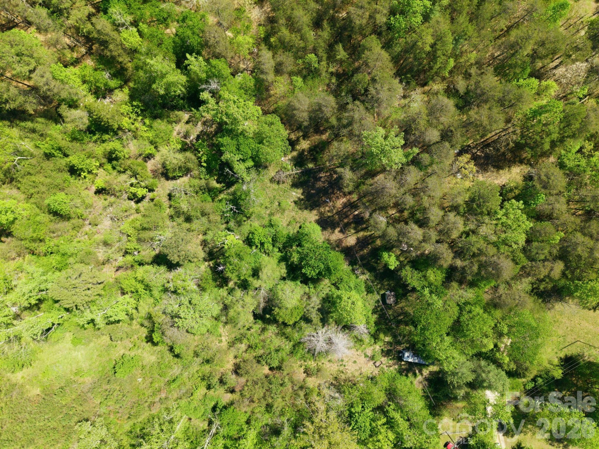 6554 camp meeting Road - Photo 18