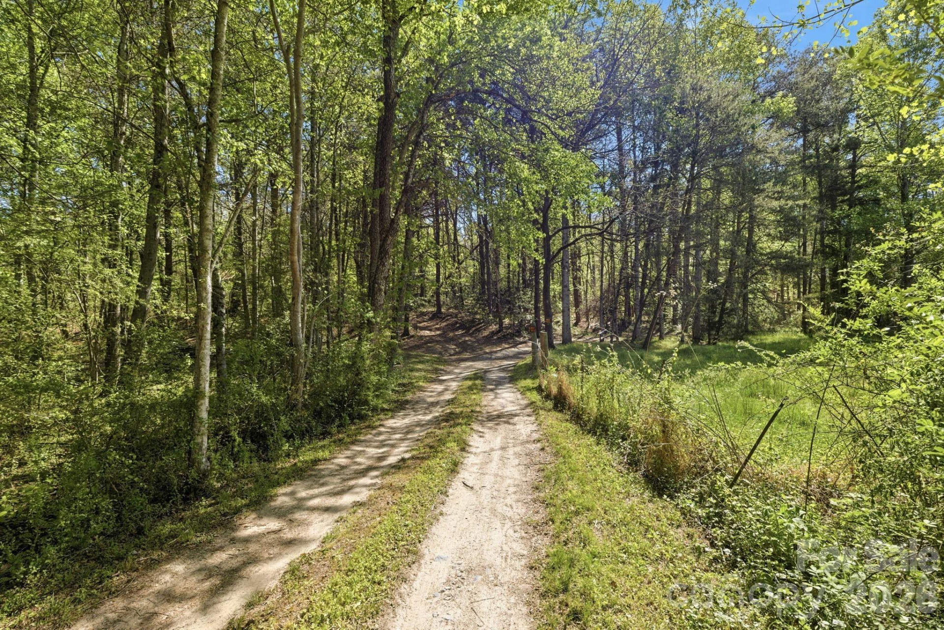 6554 camp meeting Road - Photo 3