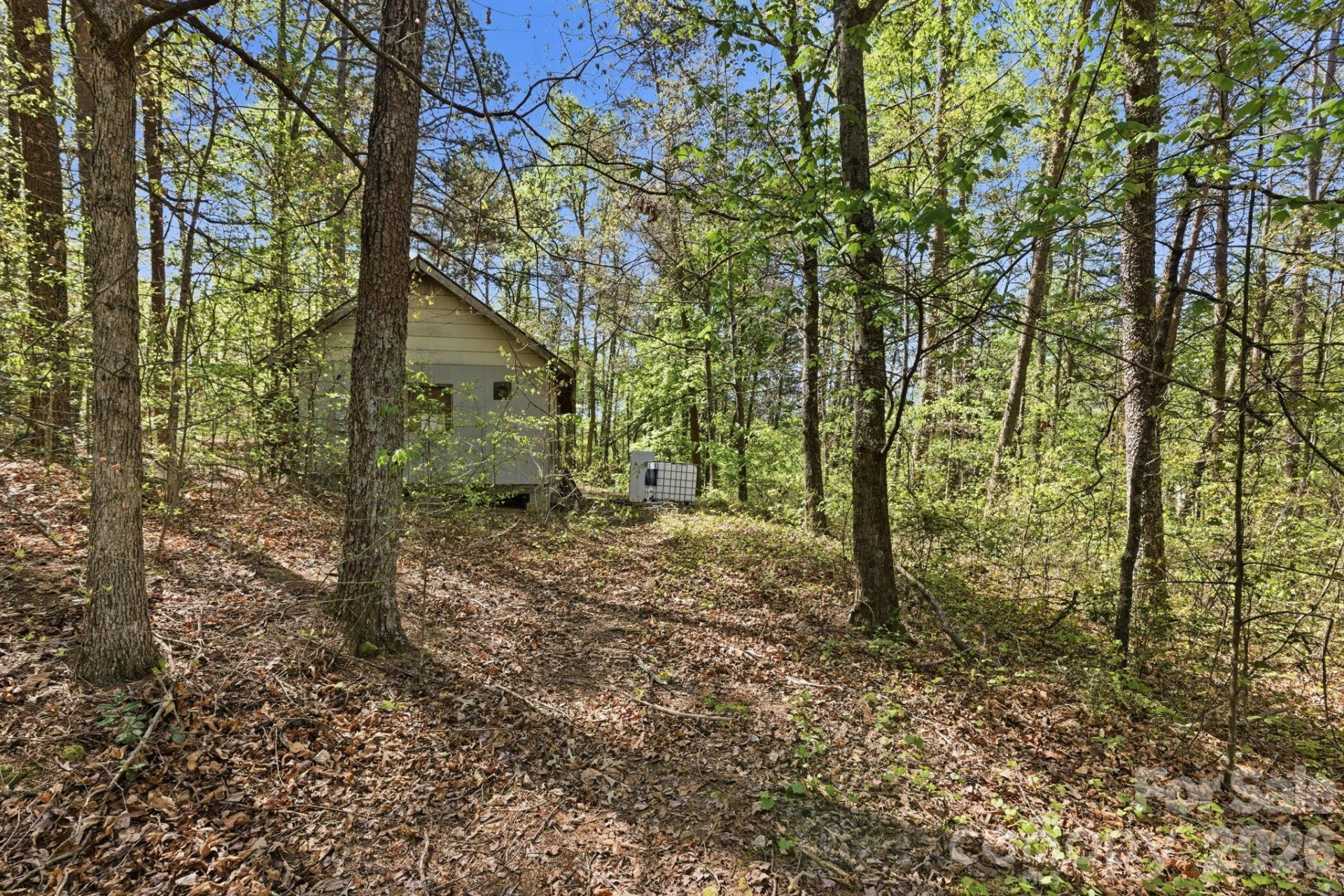 6554 camp meeting Road - Photo 5