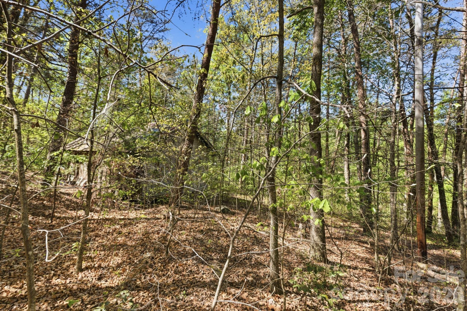 6554 camp meeting Road - Photo 6