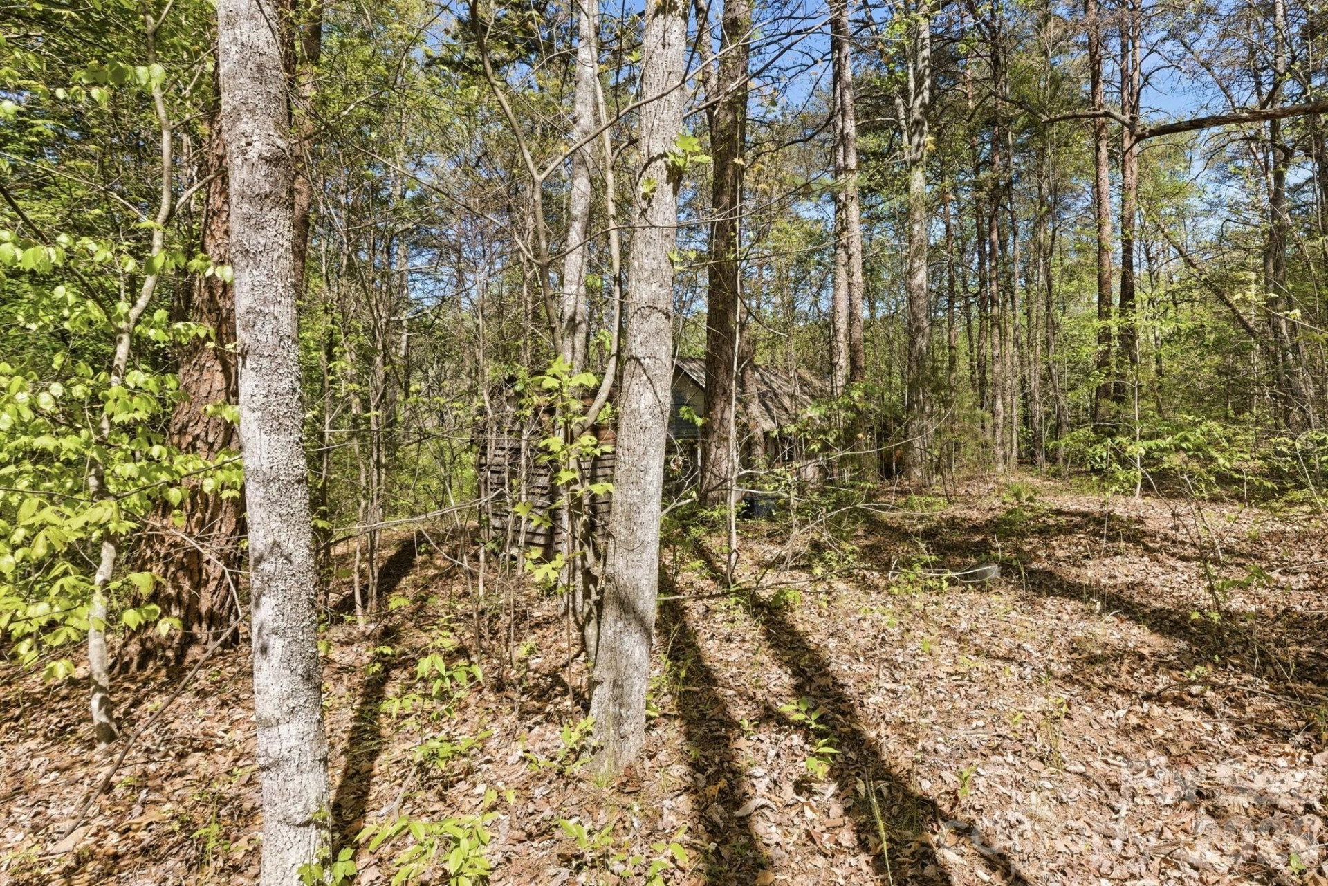 6554 camp meeting Road - Photo 7