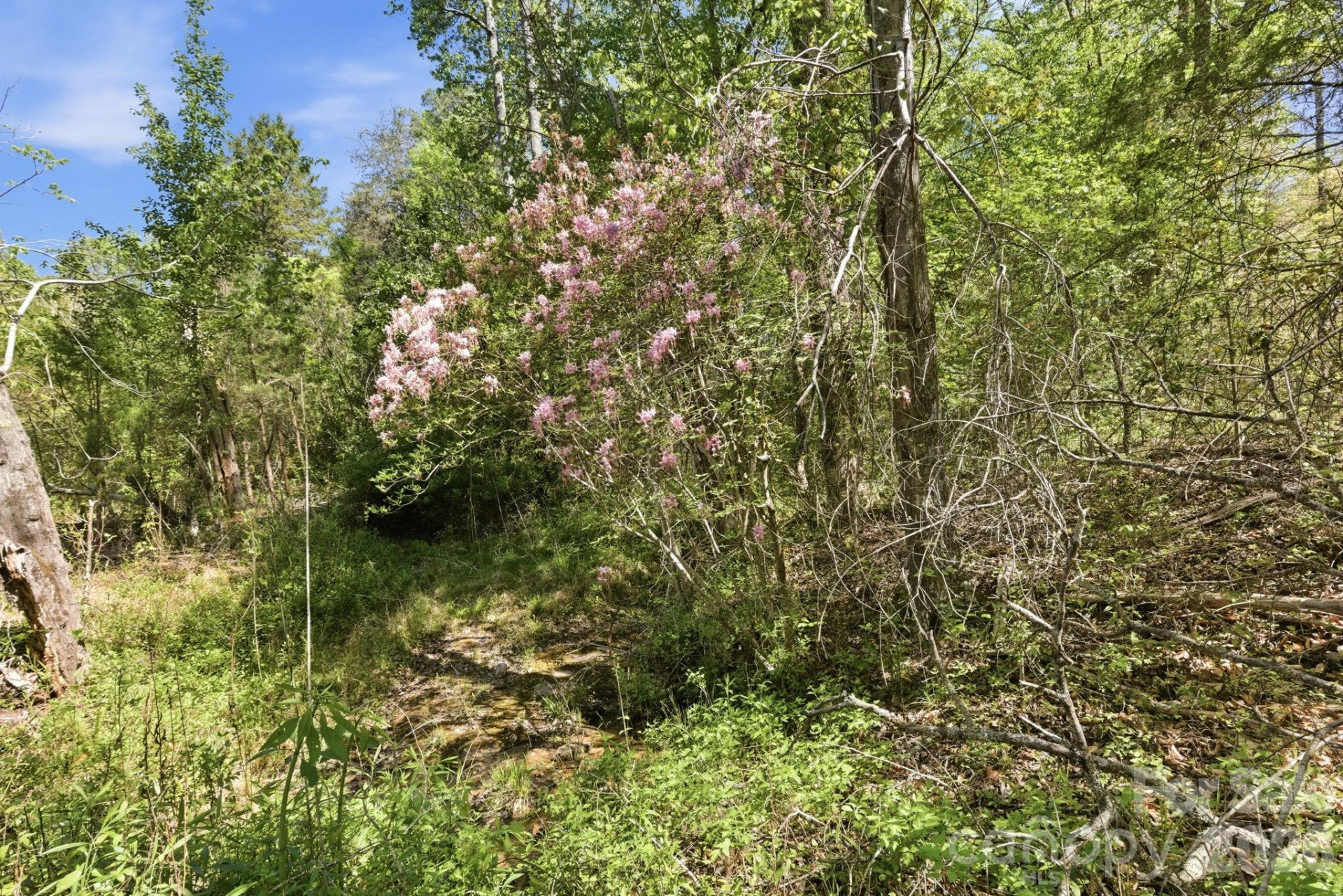 6554 camp meeting Road - Photo 8