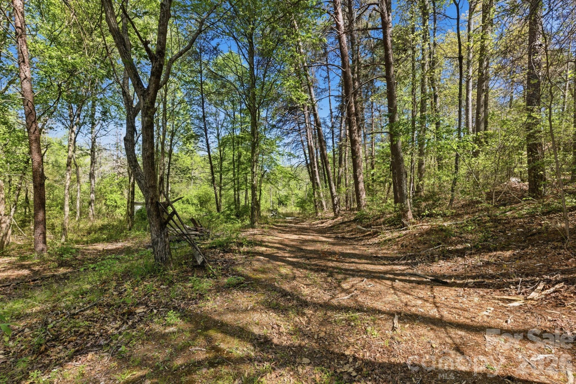 6554 camp meeting Road - Photo 9