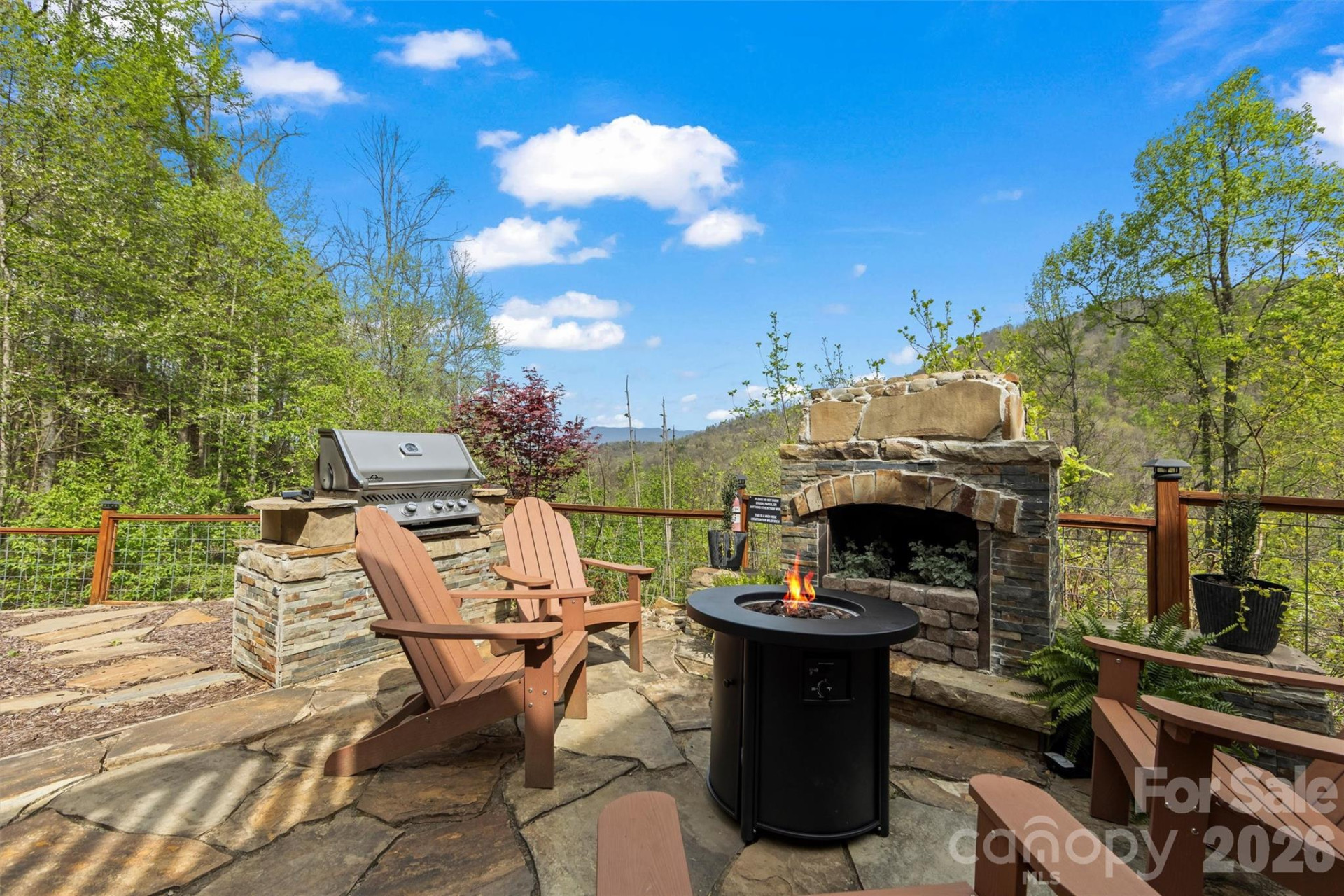 356 Walnut Cove Ridge - Photo 43