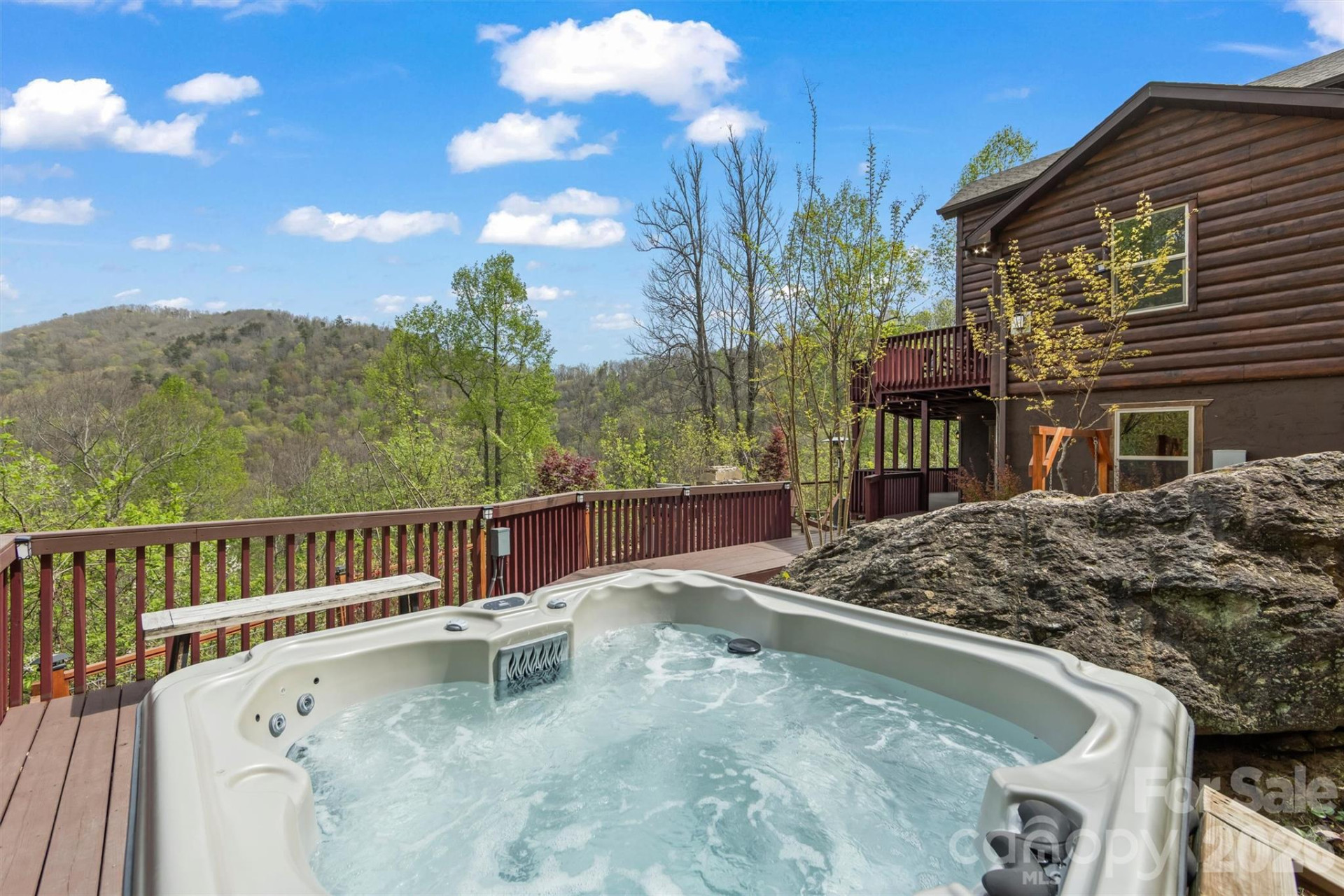 356 Walnut Cove Ridge - Photo 8