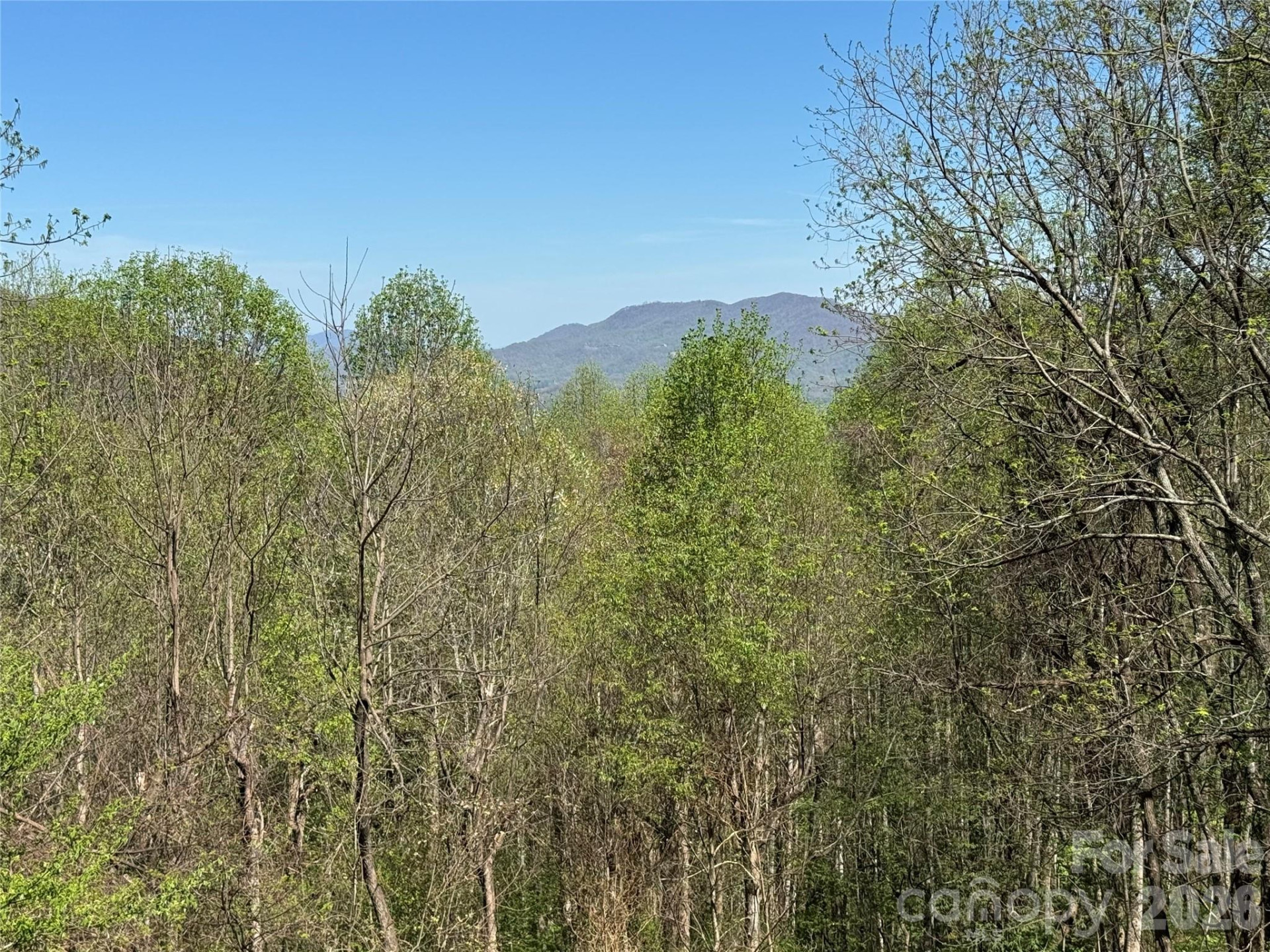 1618 Walnut Creek Road - Photo 23