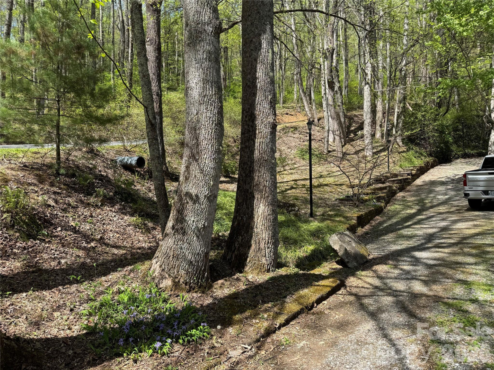 1618 Walnut Creek Road - Photo 35