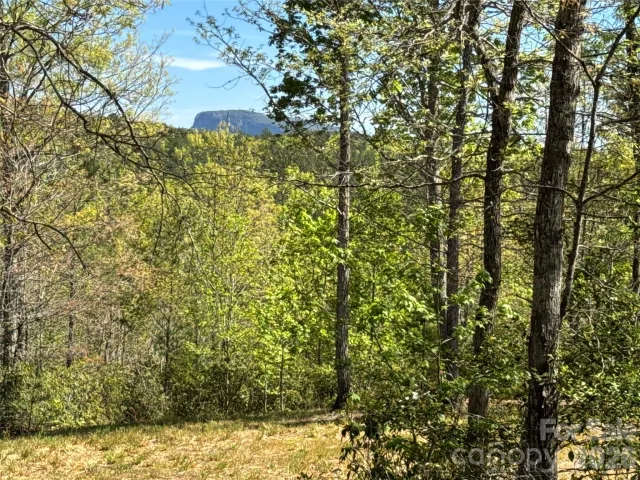 284 Bear Cliff Circle, Nebo, NC, 28761