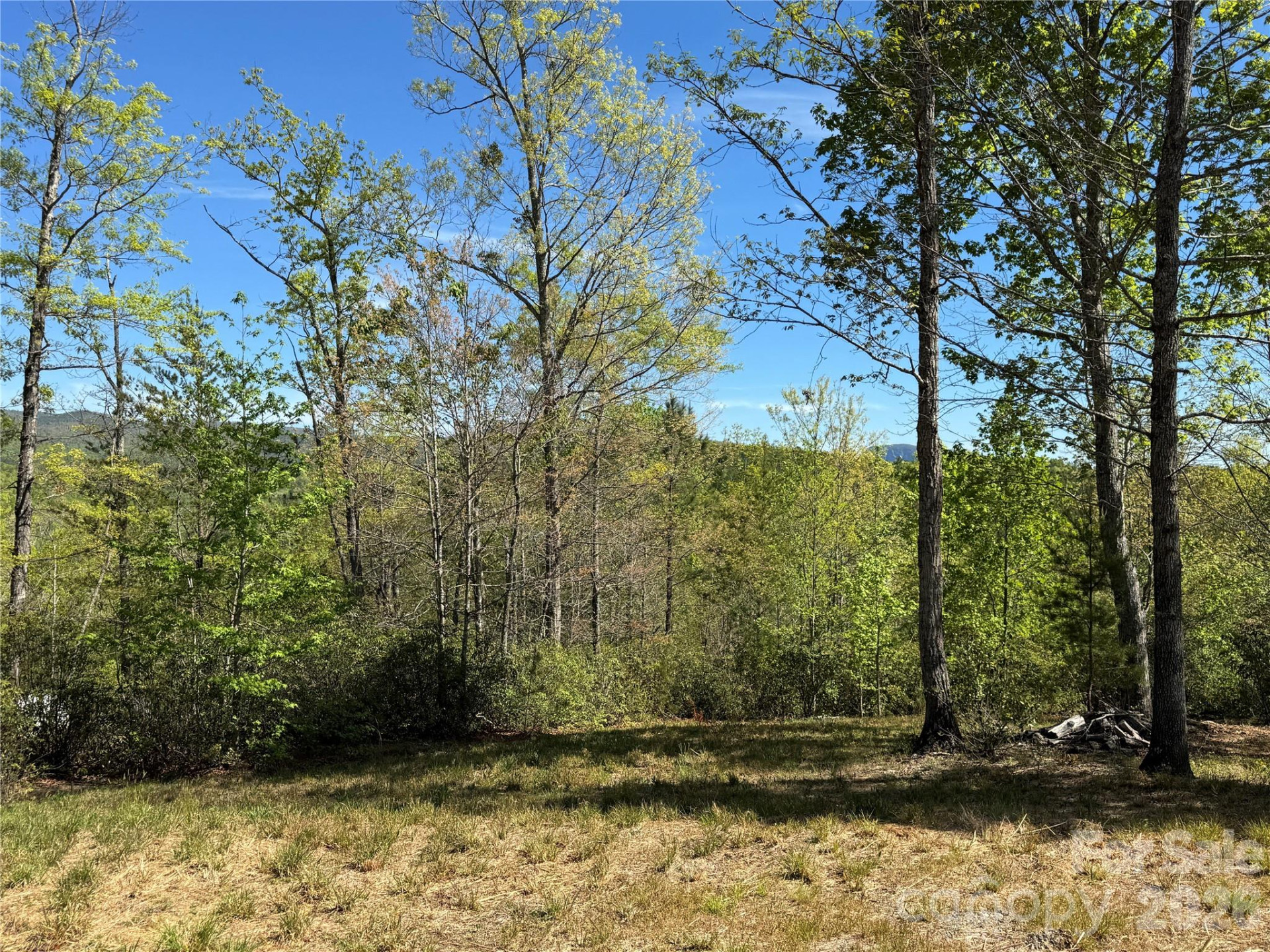 284 Bear Cliff Circle - Photo 2