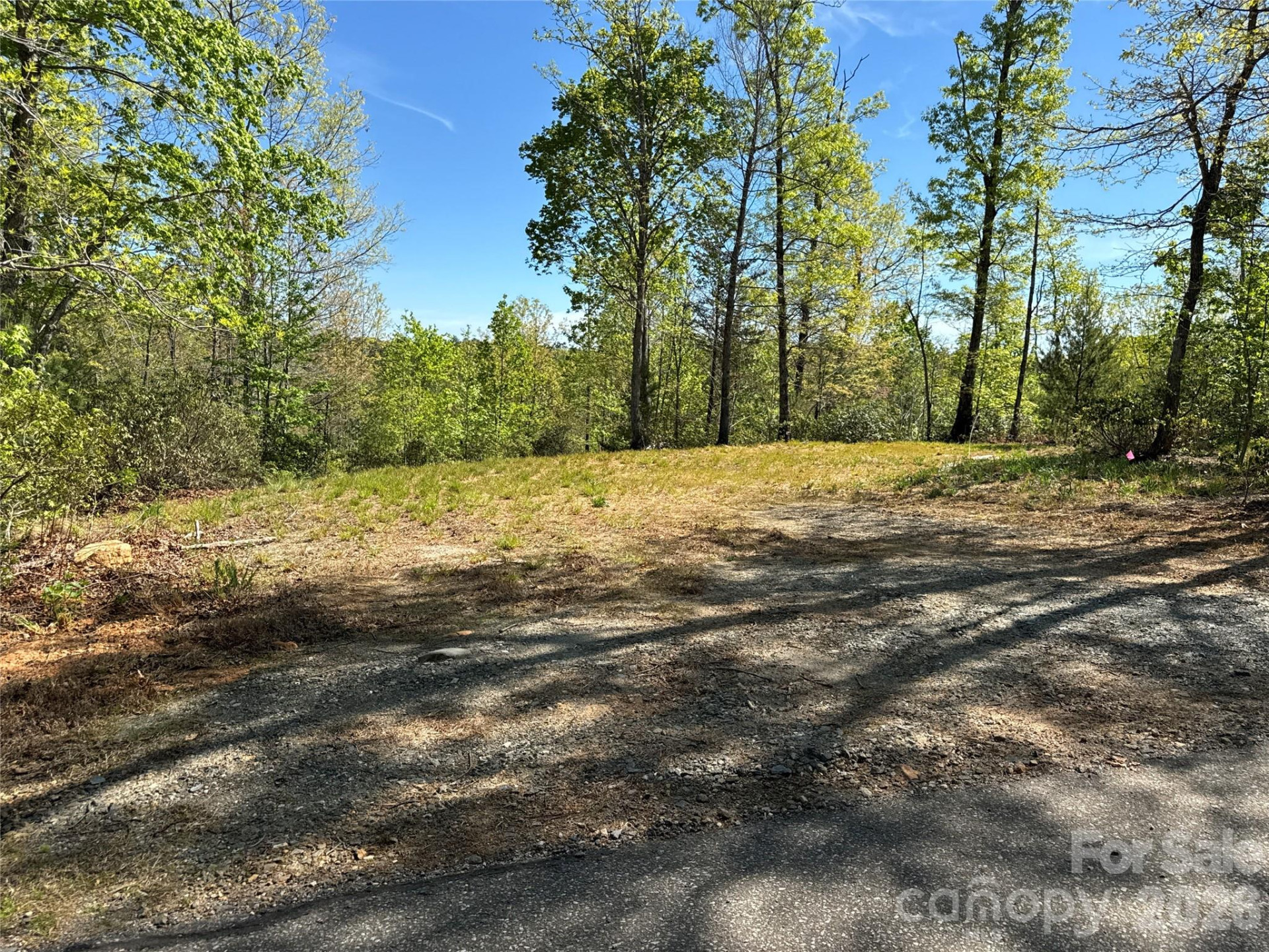 284 Bear Cliff Circle - Photo 3