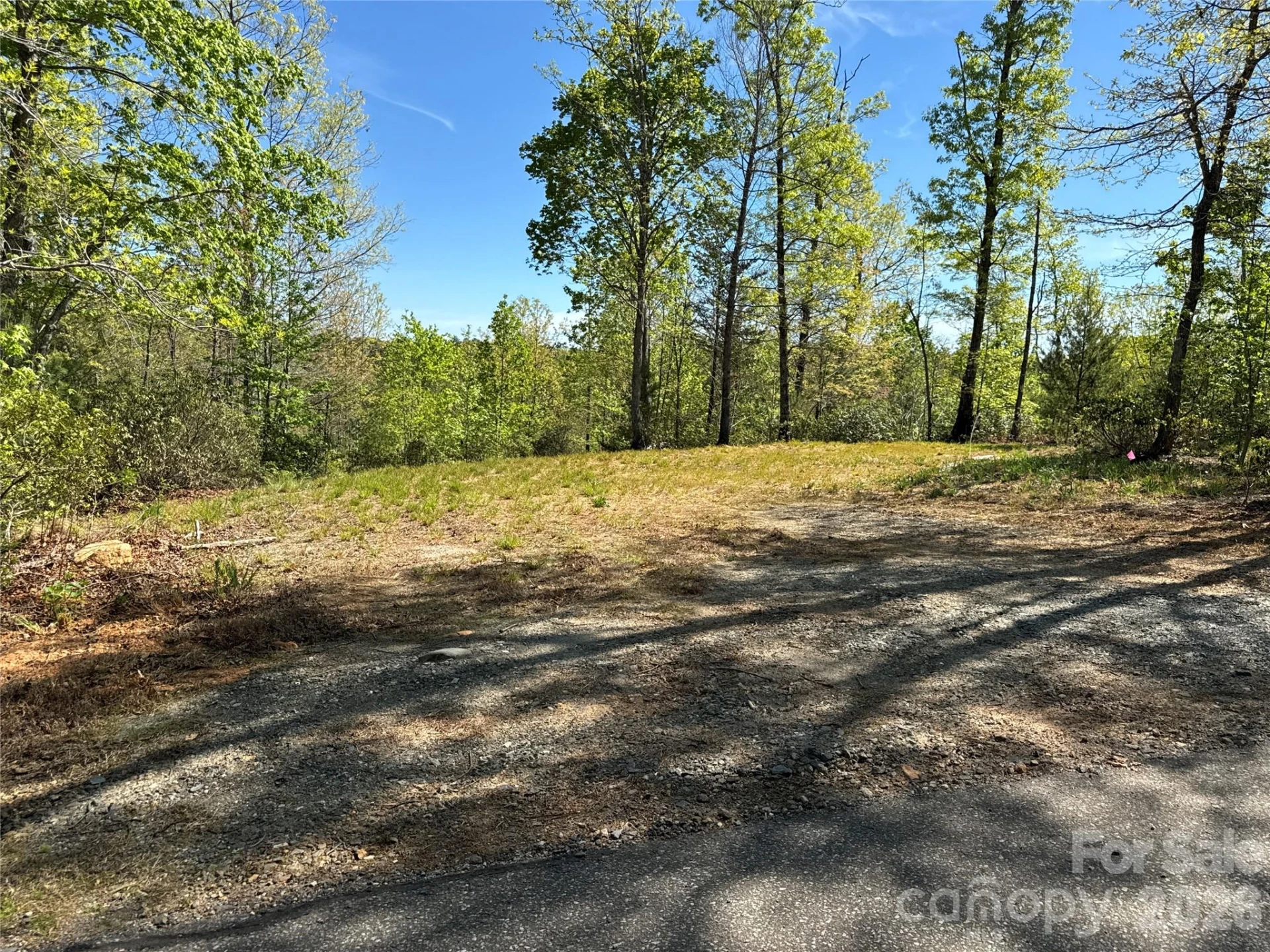 284 Bear Cliff Circle - Photo 3