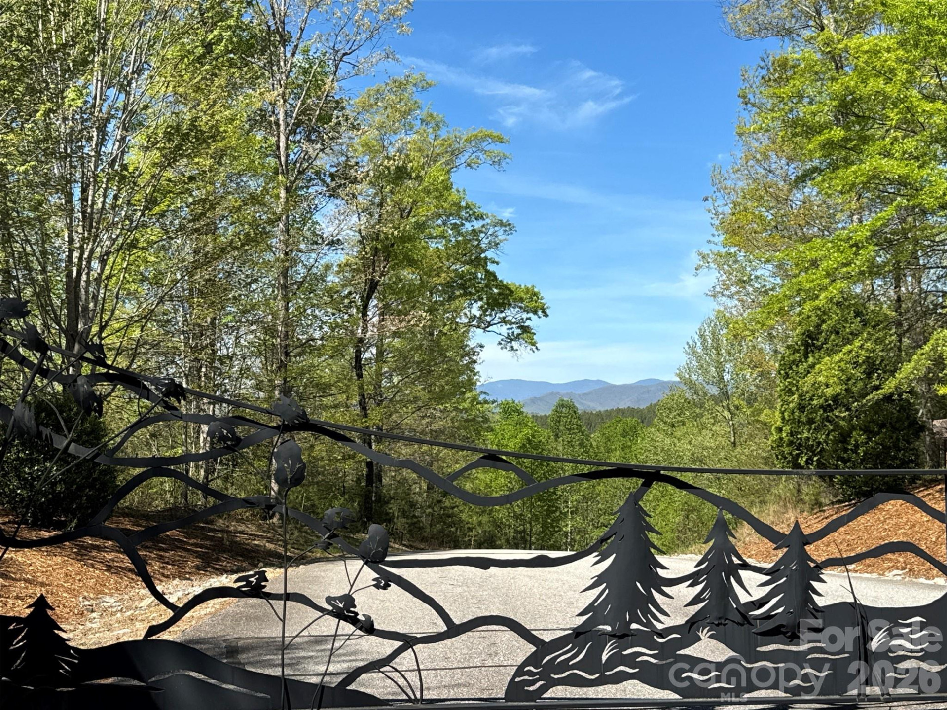 284 Bear Cliff Circle - Photo 4