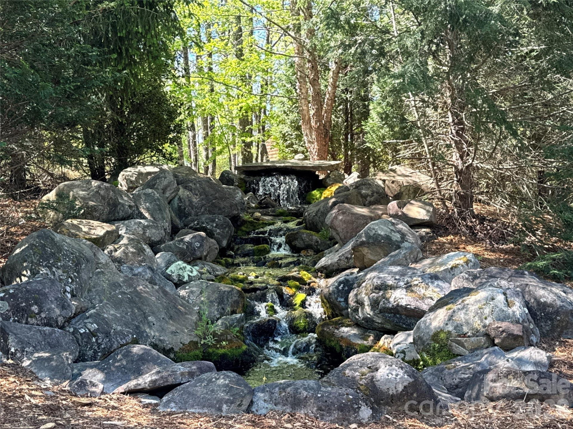 284 Bear Cliff Circle - Photo 5