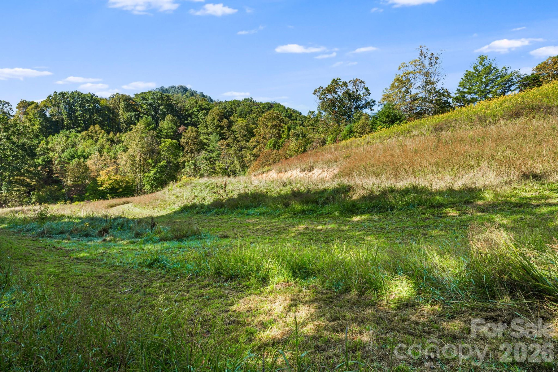 456 Maney Branch Road - Photo 27