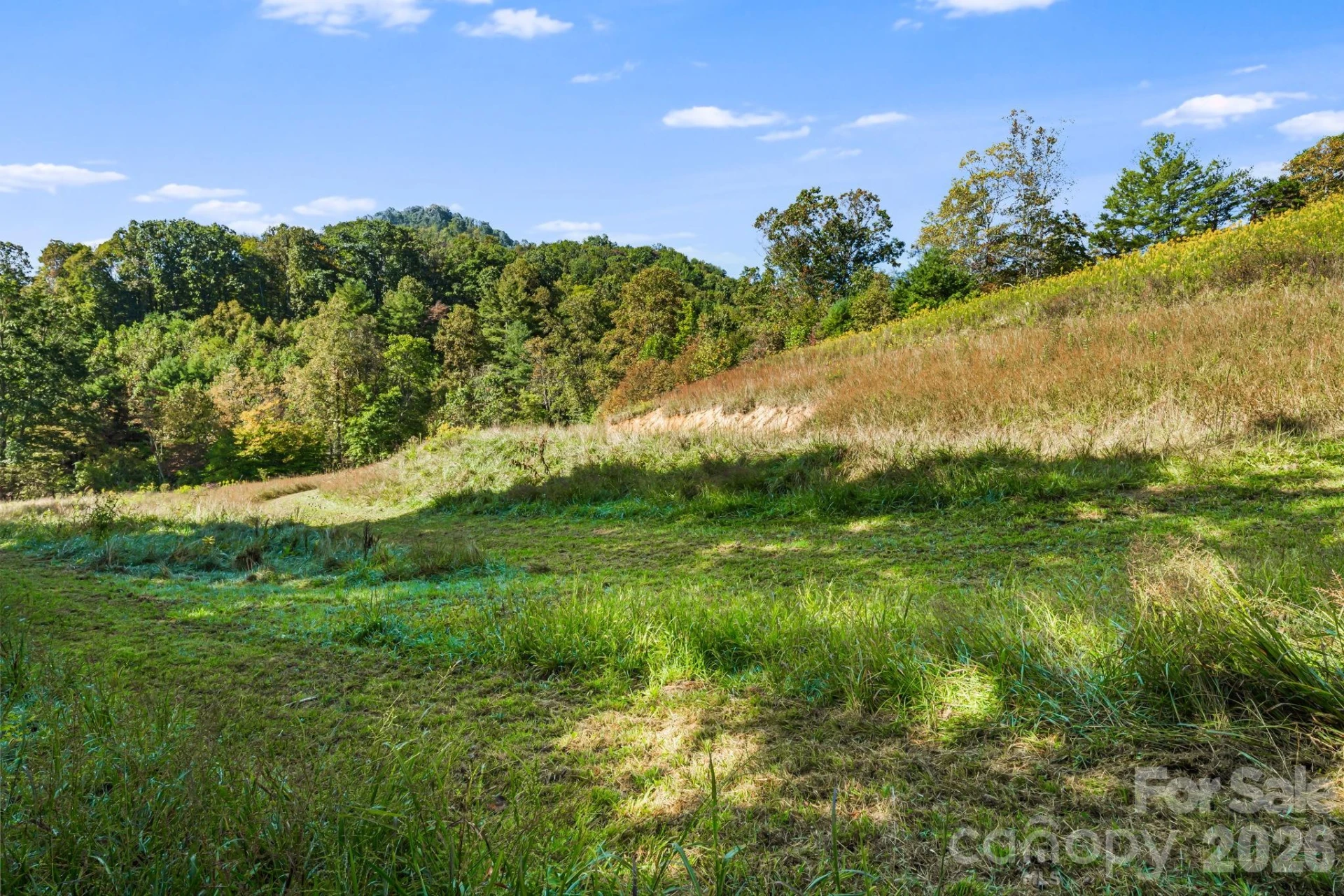 456 Maney Branch Road - Photo 27