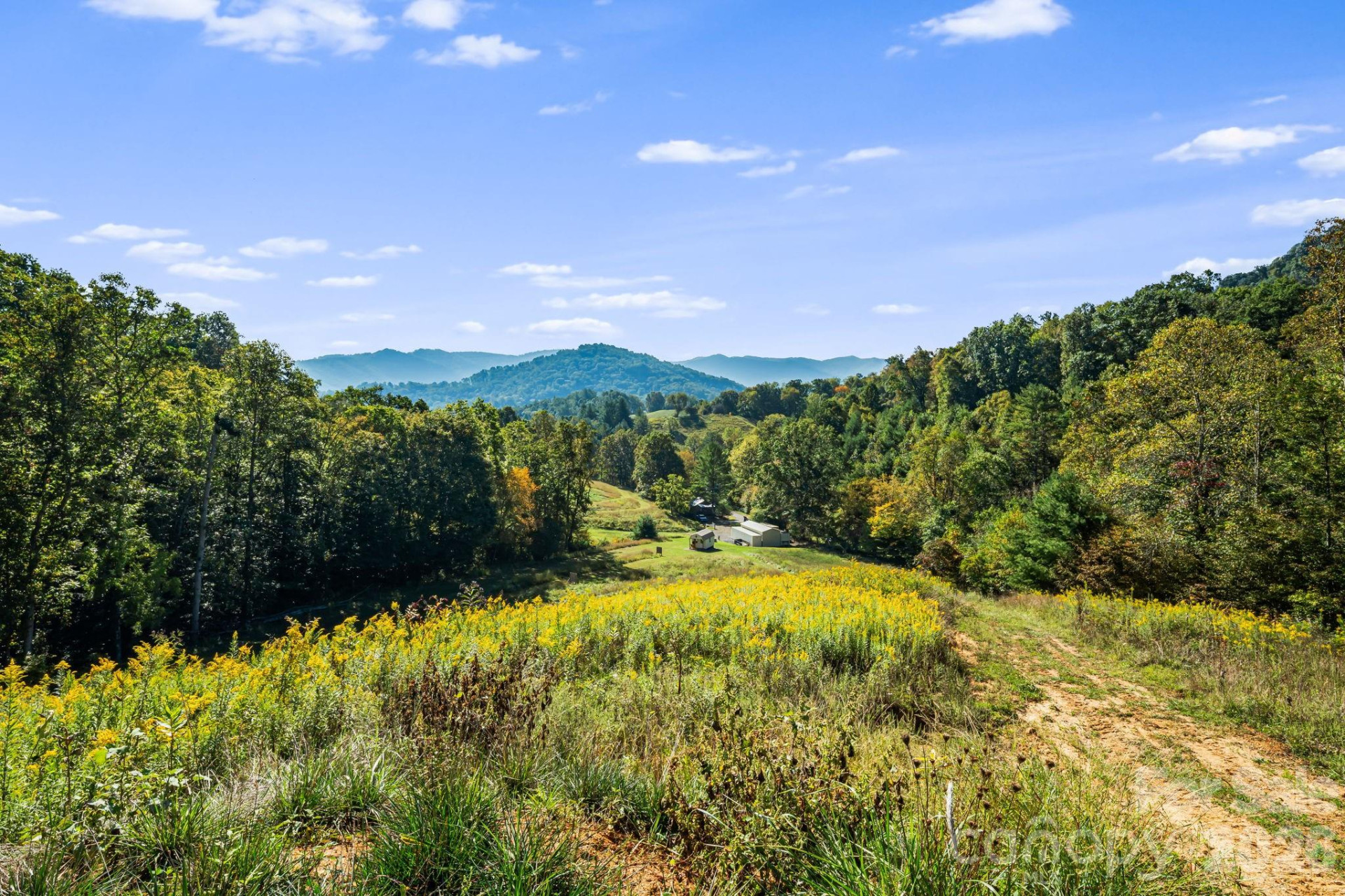 456 Maney Branch Road - Photo 28