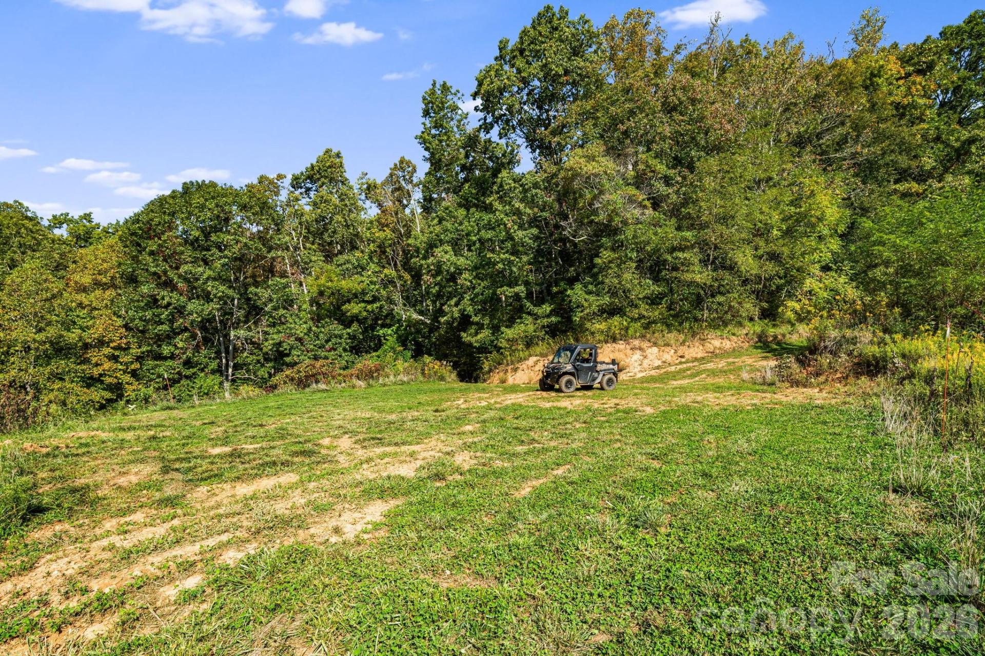 456 Maney Branch Road - Photo 29