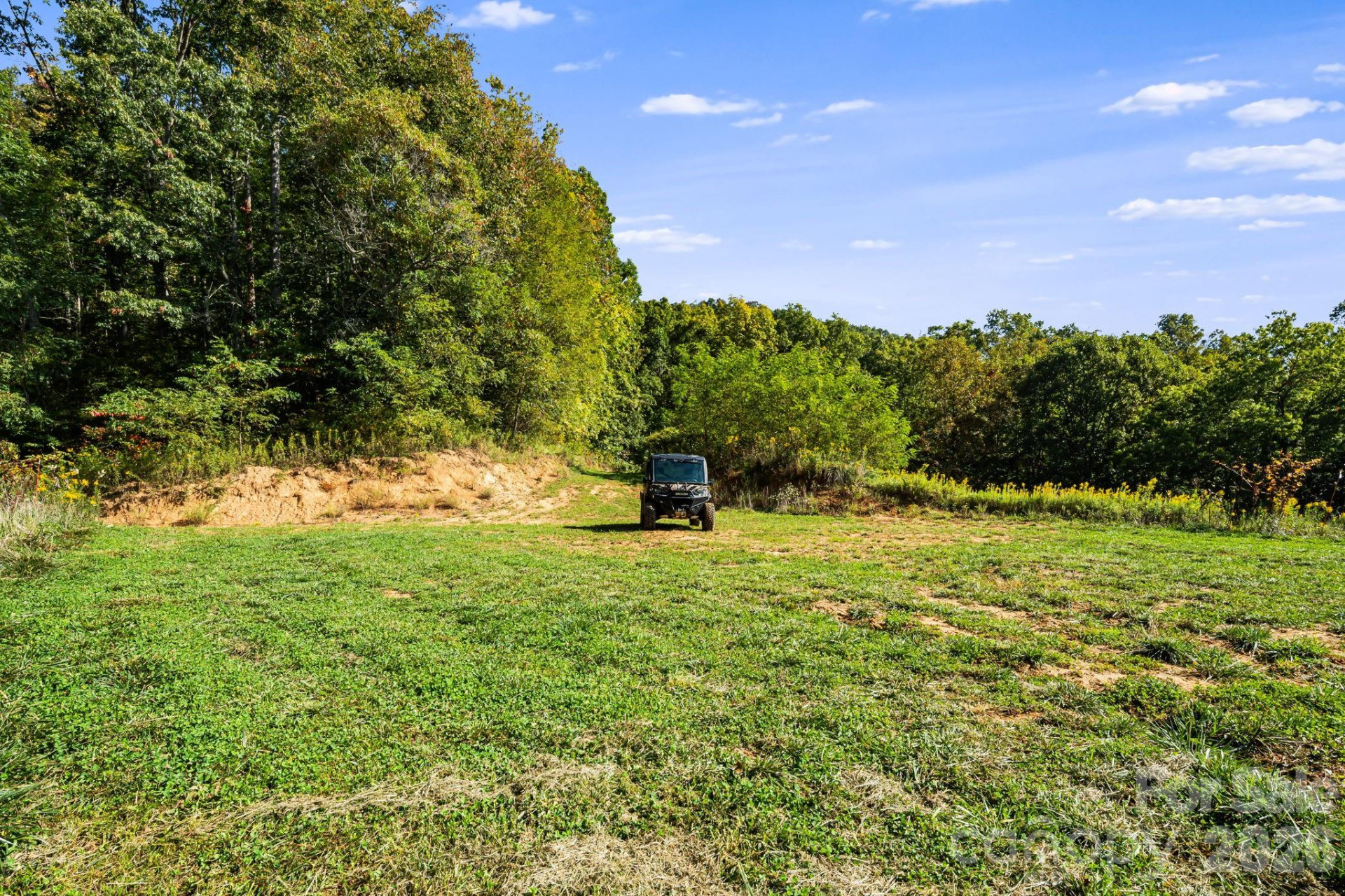 456 Maney Branch Road - Photo 30