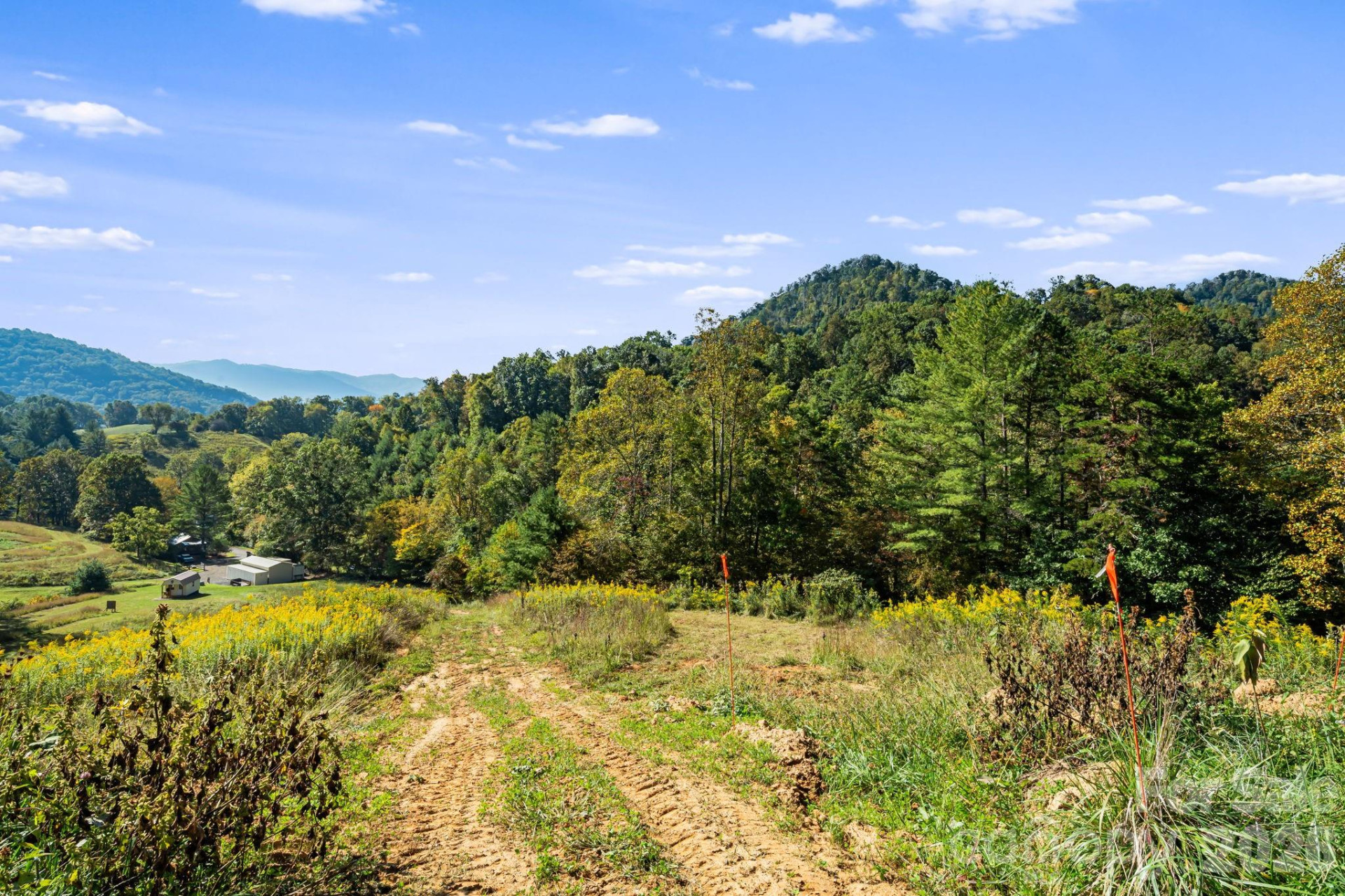 456 Maney Branch Road - Photo 31