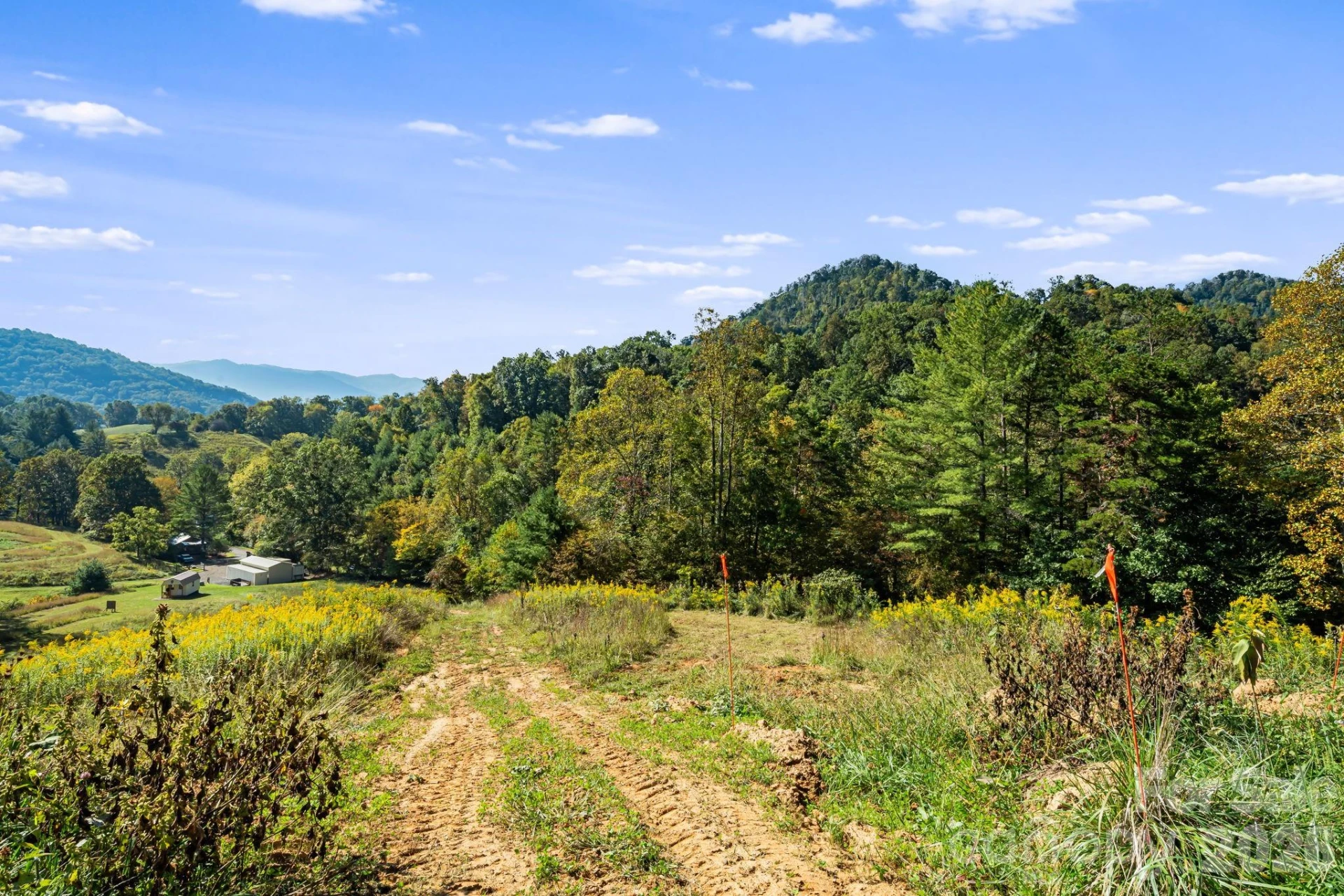 456 Maney Branch Road - Photo 31