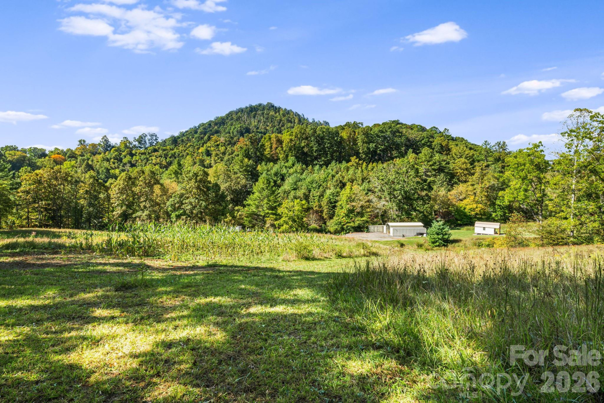 456 Maney Branch Road - Photo 35