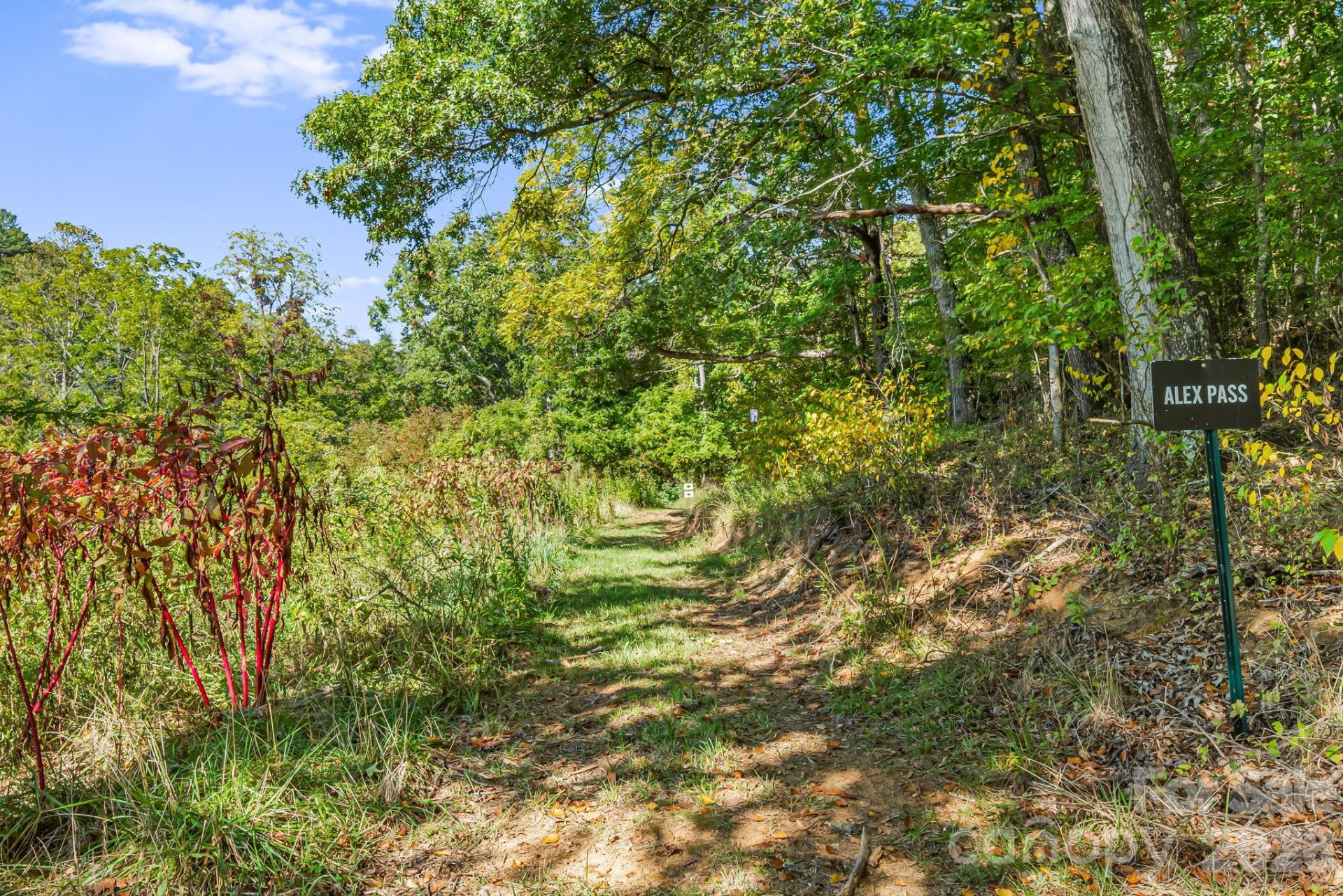 456 Maney Branch Road - Photo 36