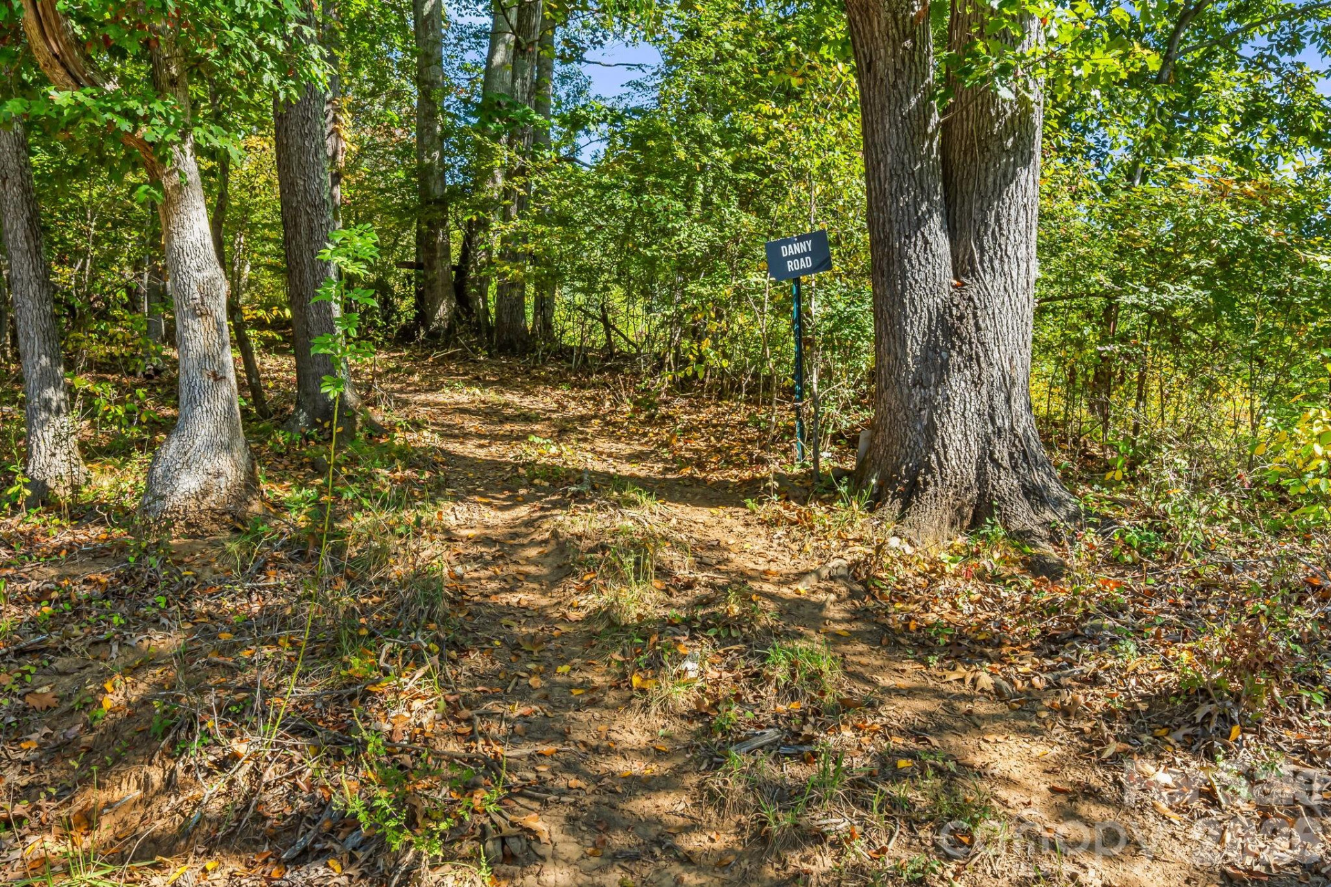 456 Maney Branch Road - Photo 37