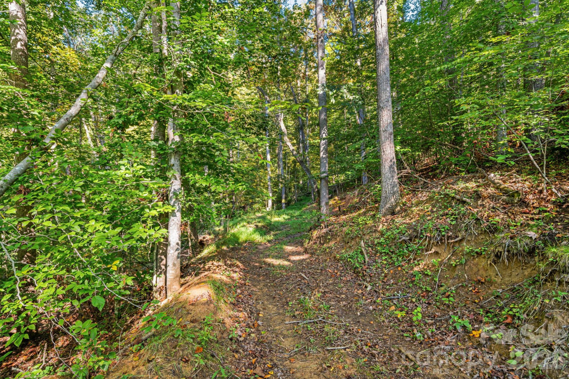 456 Maney Branch Road - Photo 38