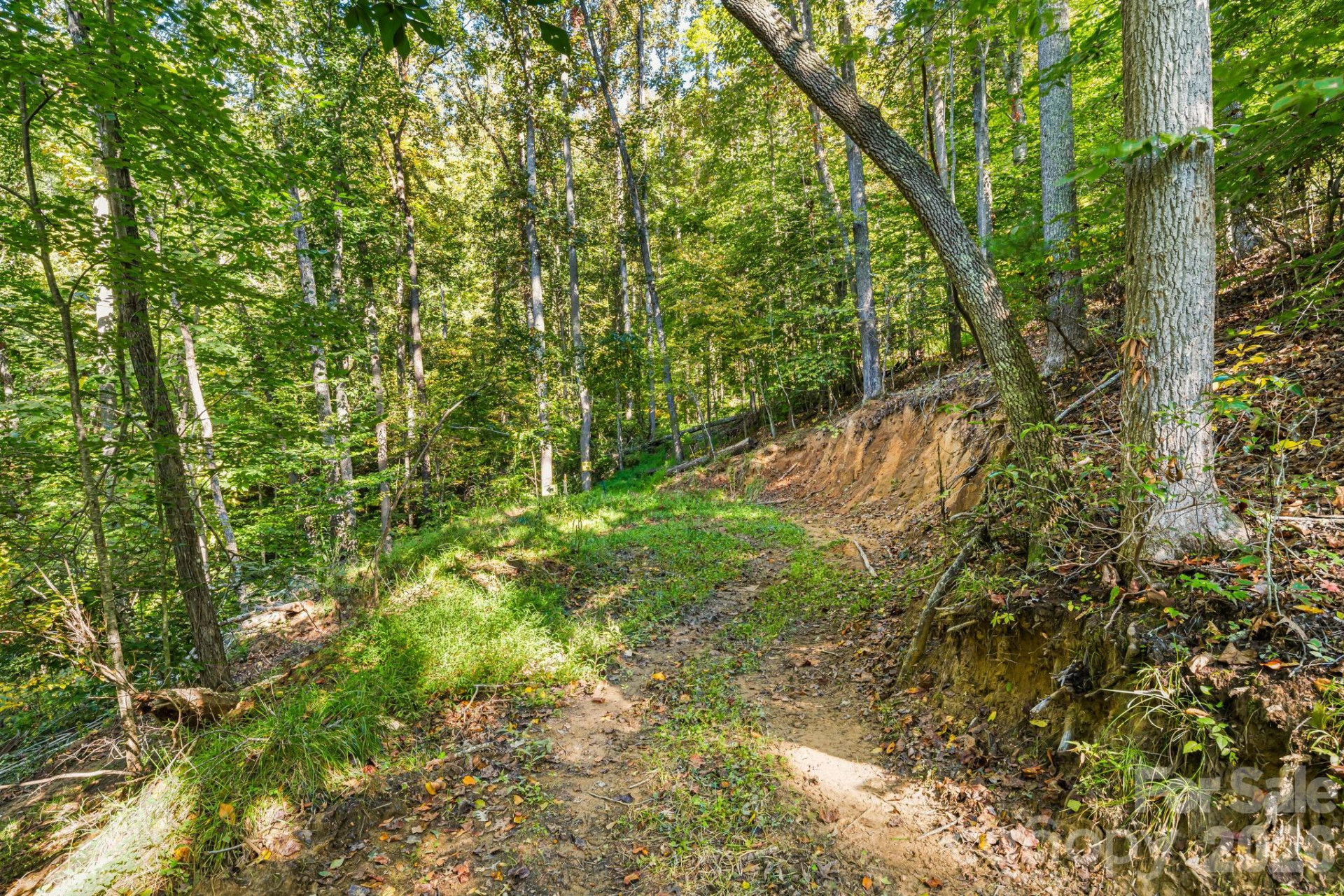 456 Maney Branch Road - Photo 39