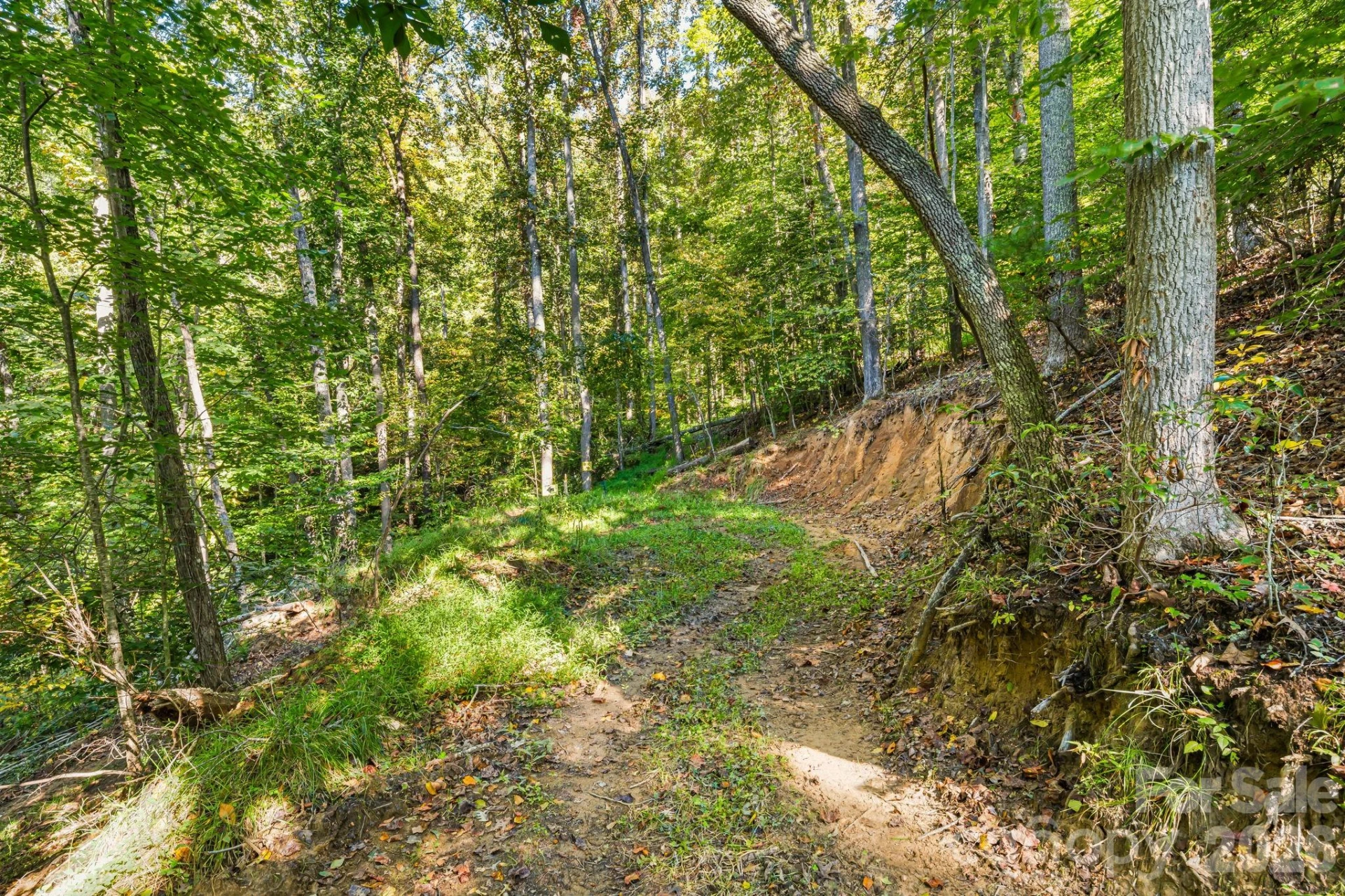 456 Maney Branch Road - Photo 39