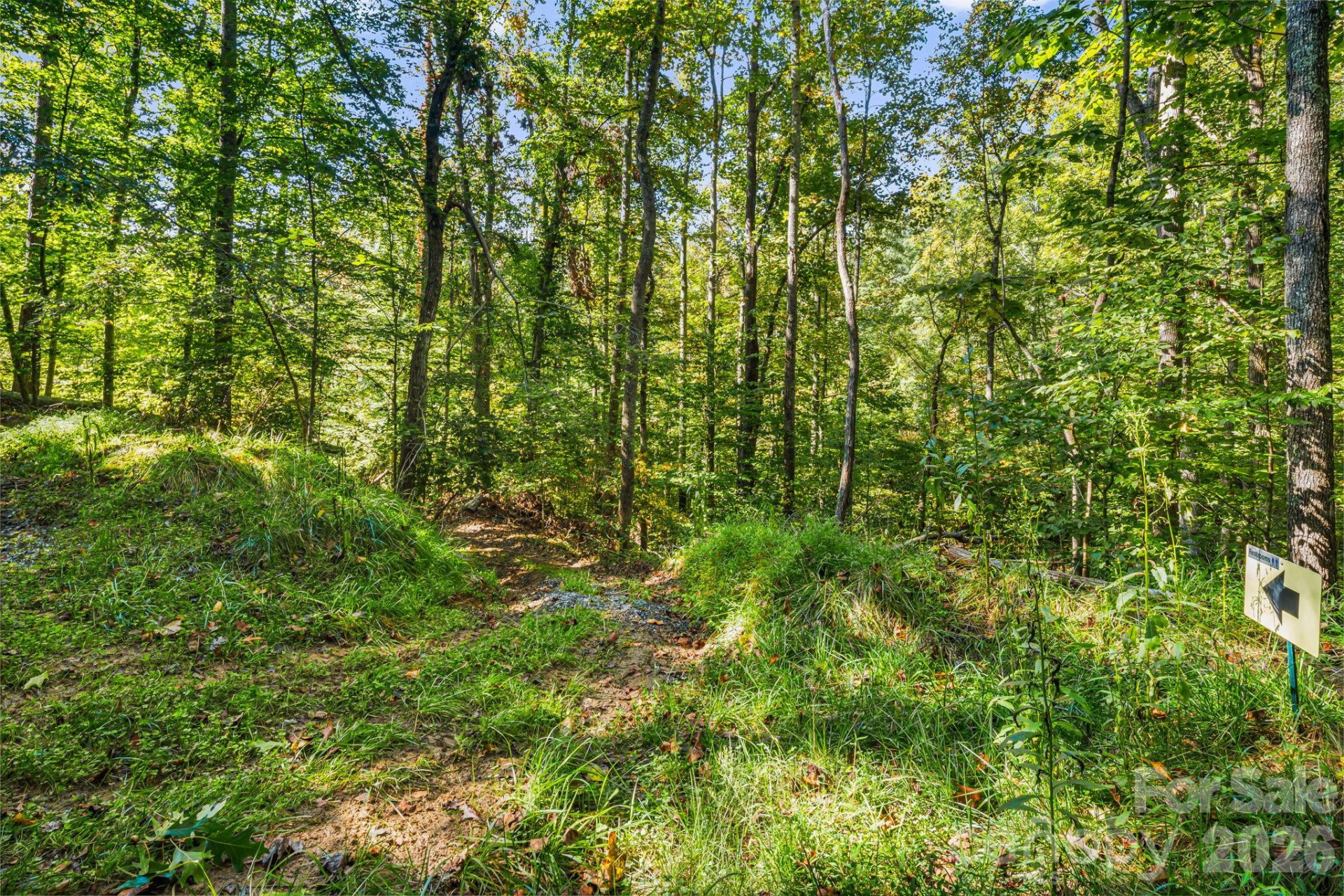 456 Maney Branch Road - Photo 40